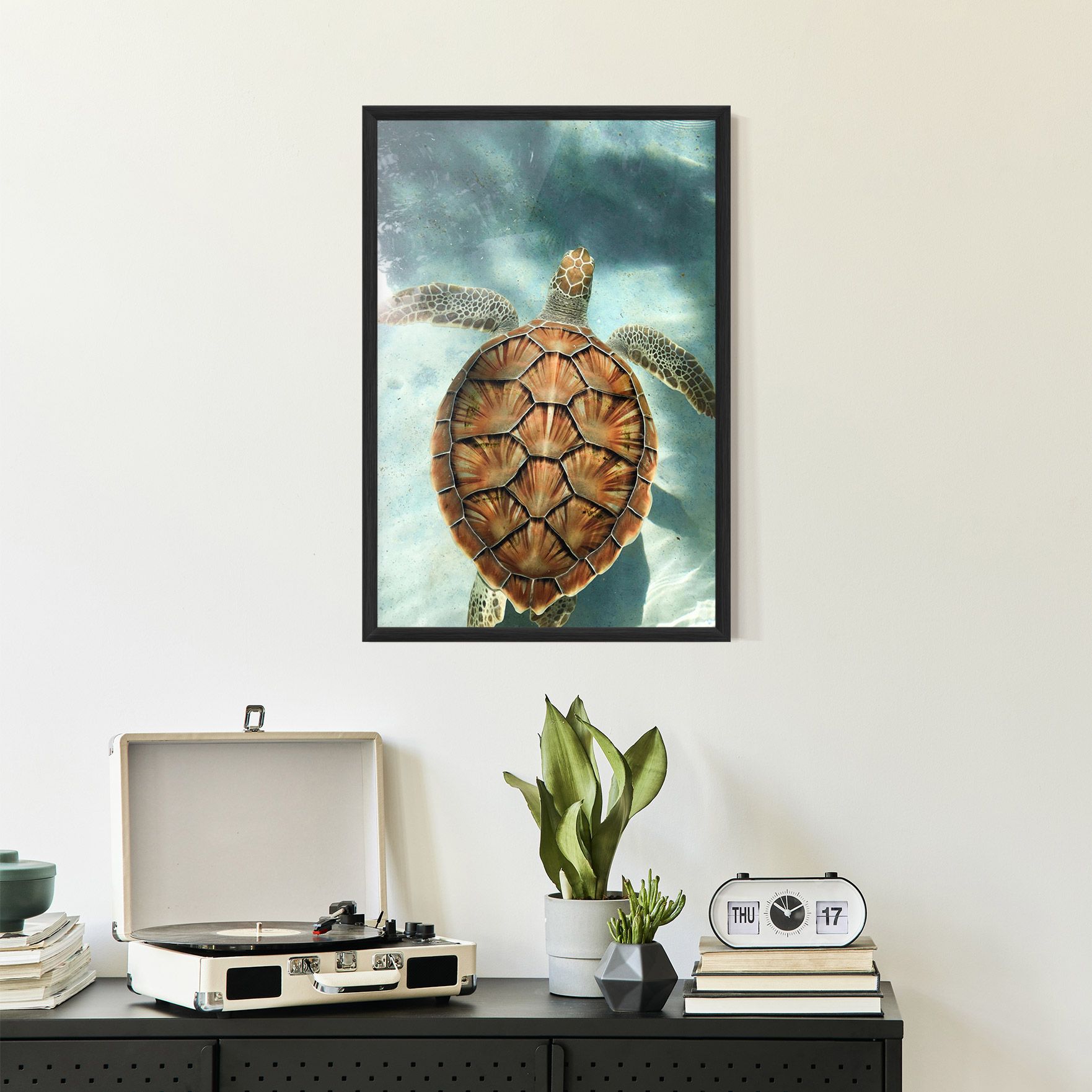 Water Tortoise mockup 2