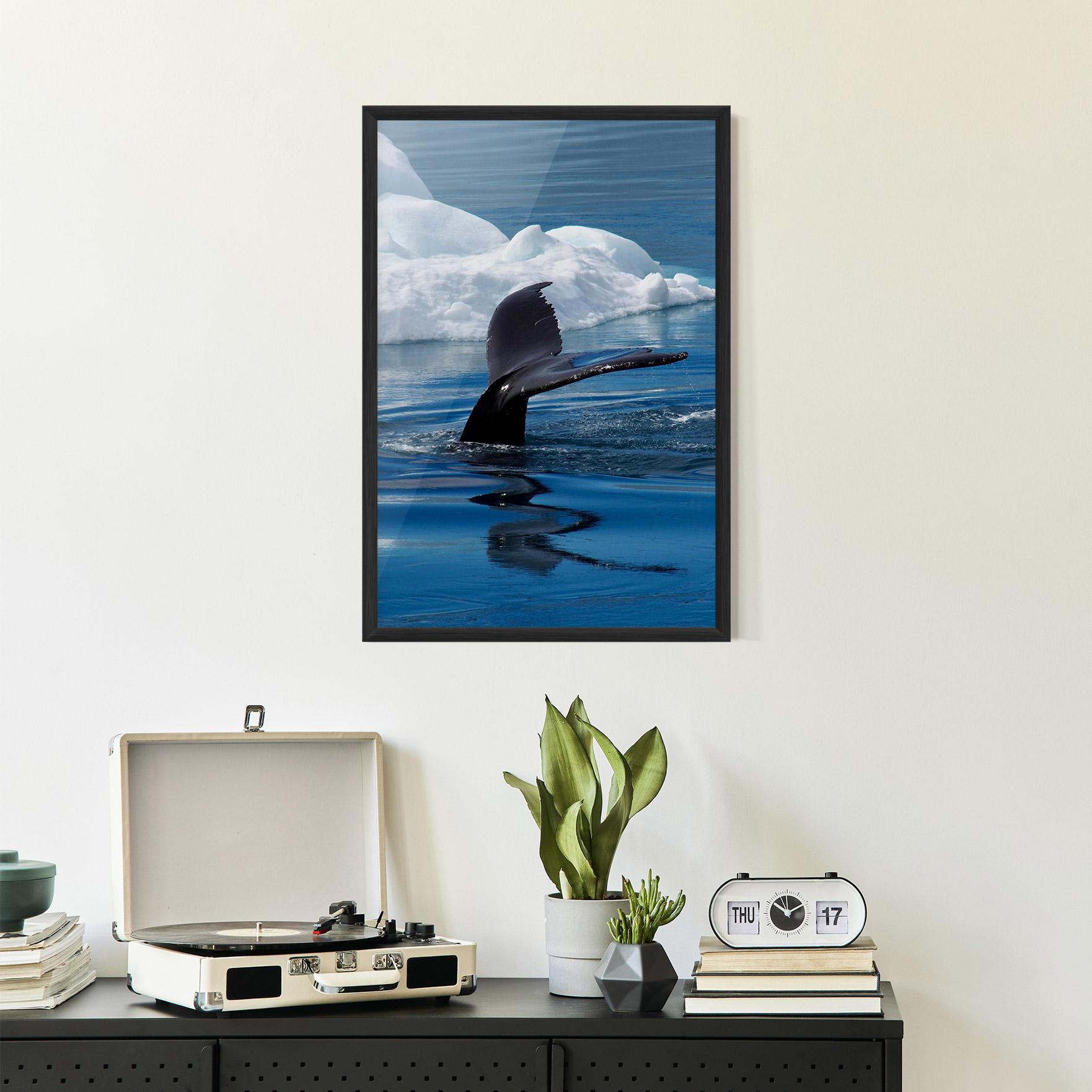 Poster Înrămat Whale Tail mockup 2
