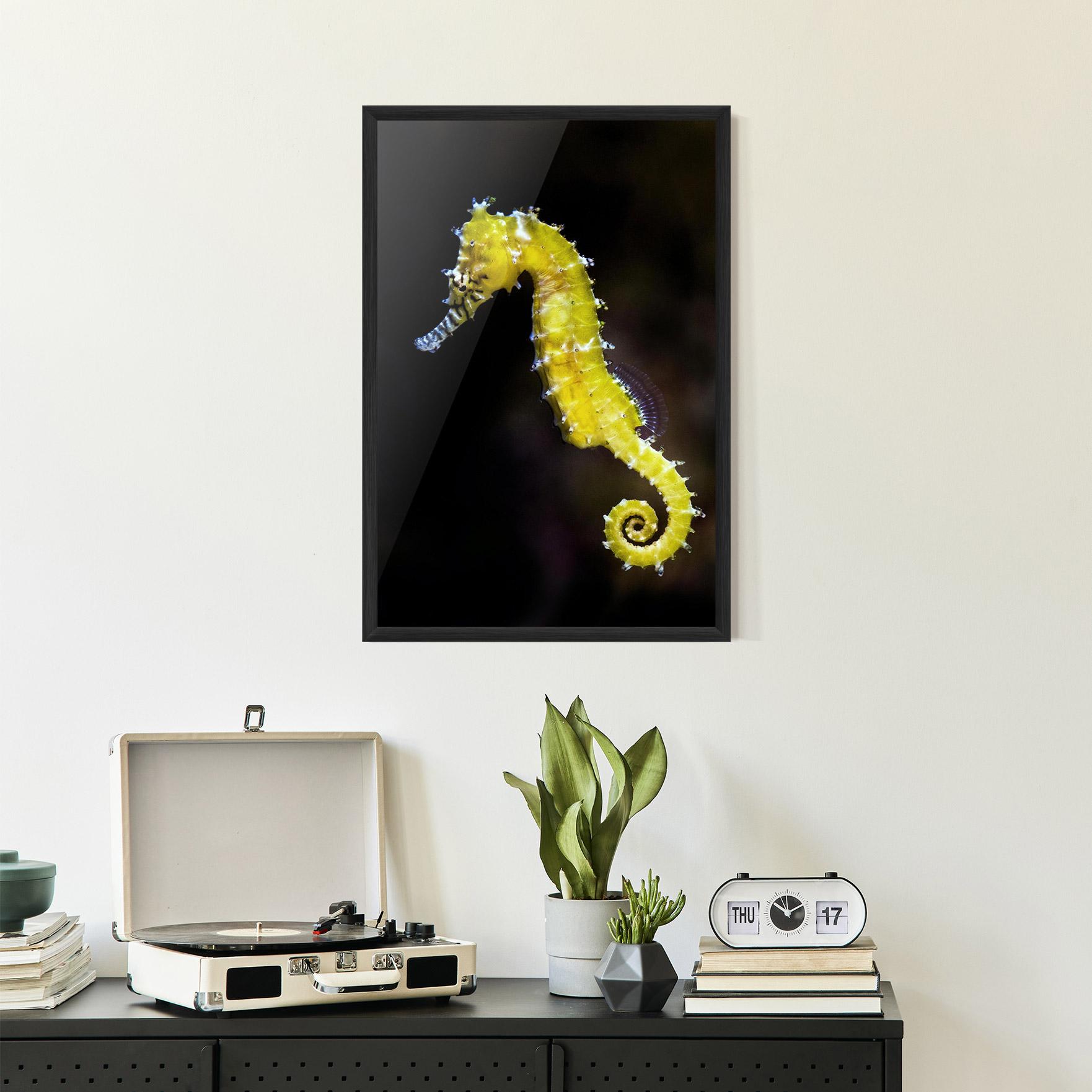 Poster Înrămat Yellow Seahorse mockup 2