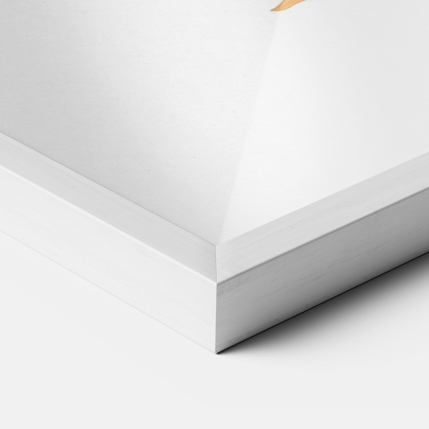 Beautiful Koi mockup 3