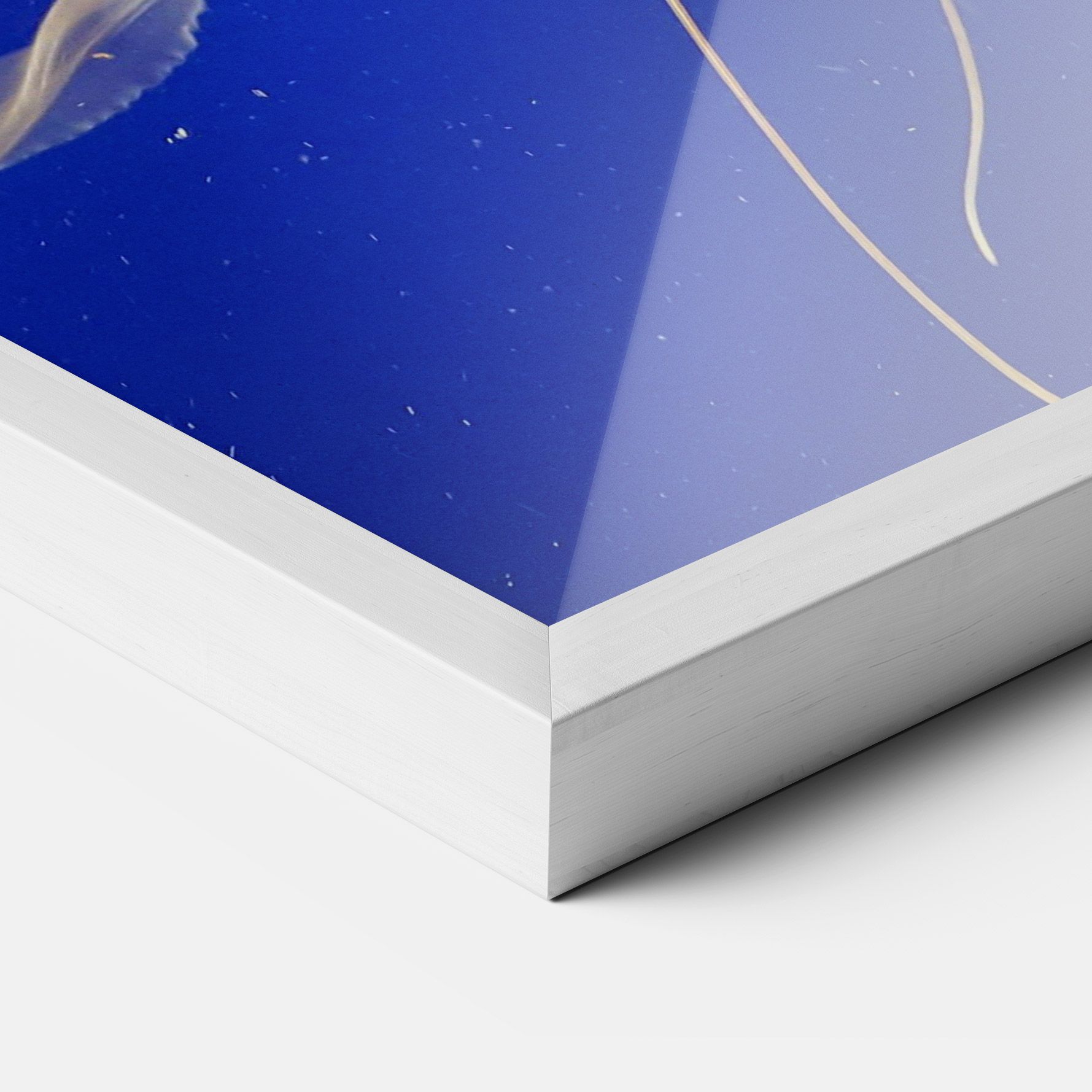 Light Orange Jellyfish mockup 3