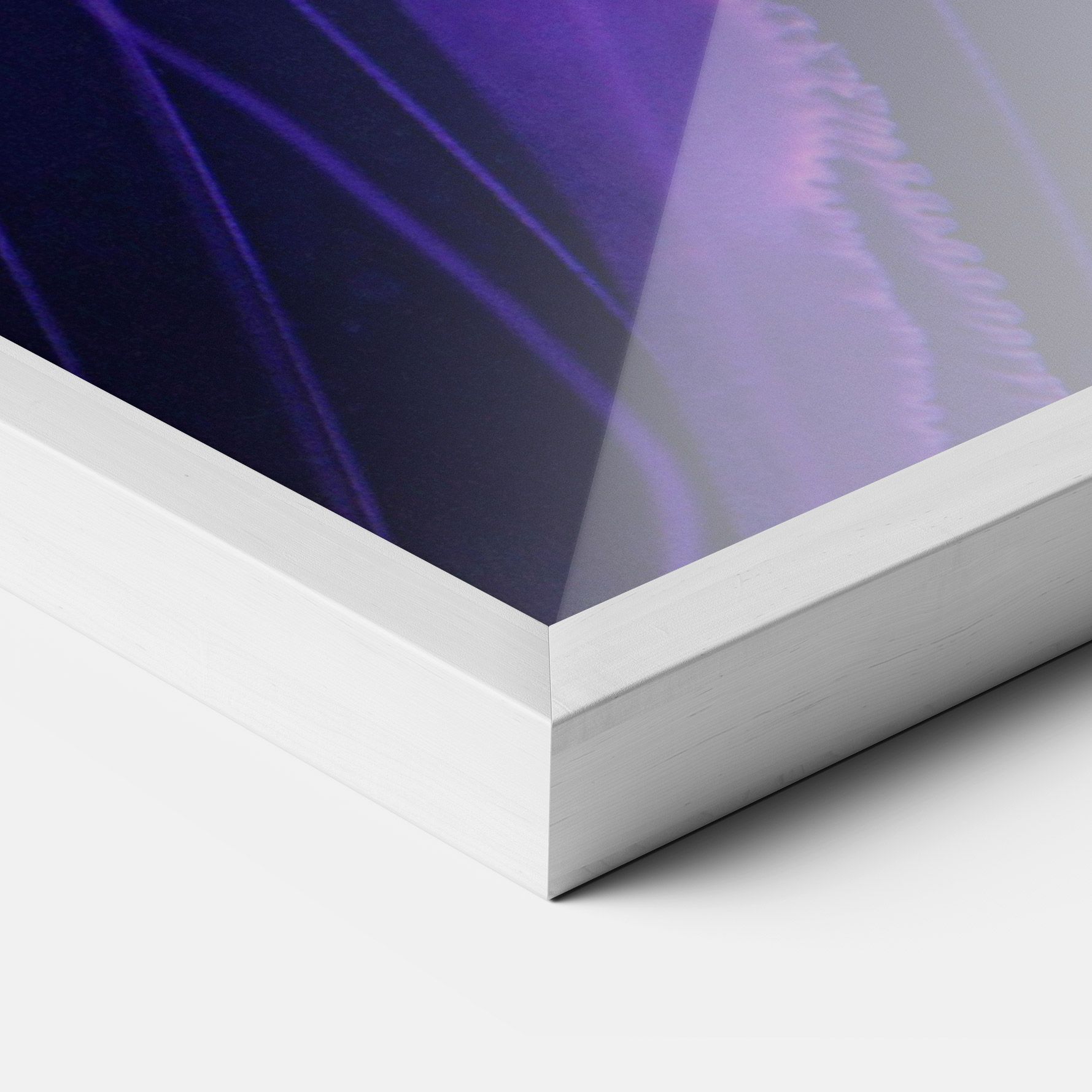 Light Purple Jellyfish mockup 3