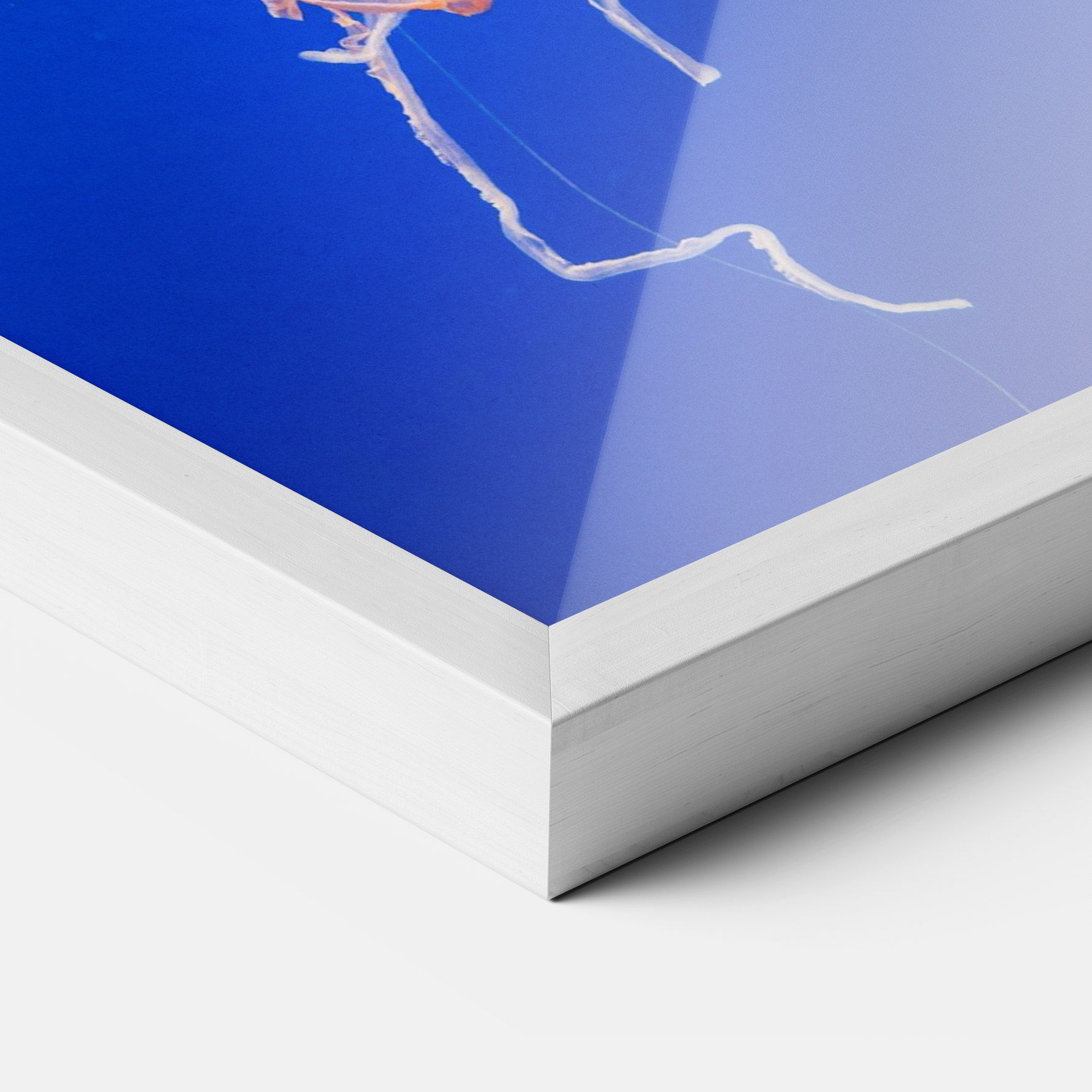 Pretty White Jellyfish mockup 3