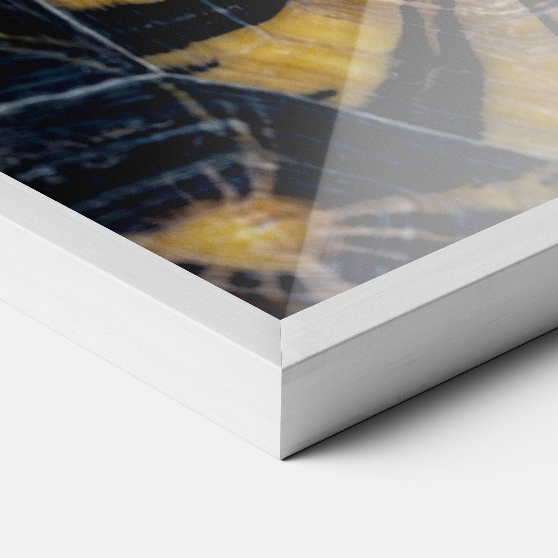 Turtle Shell mockup 3