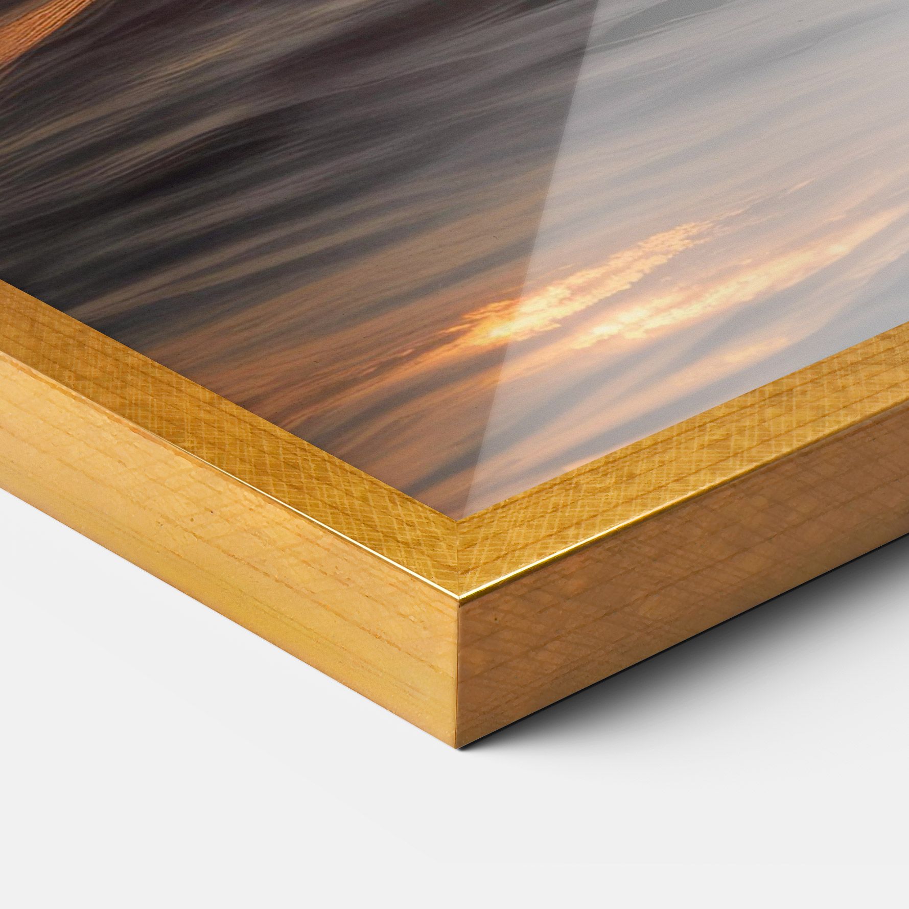 Dolphin Jump mockup 3