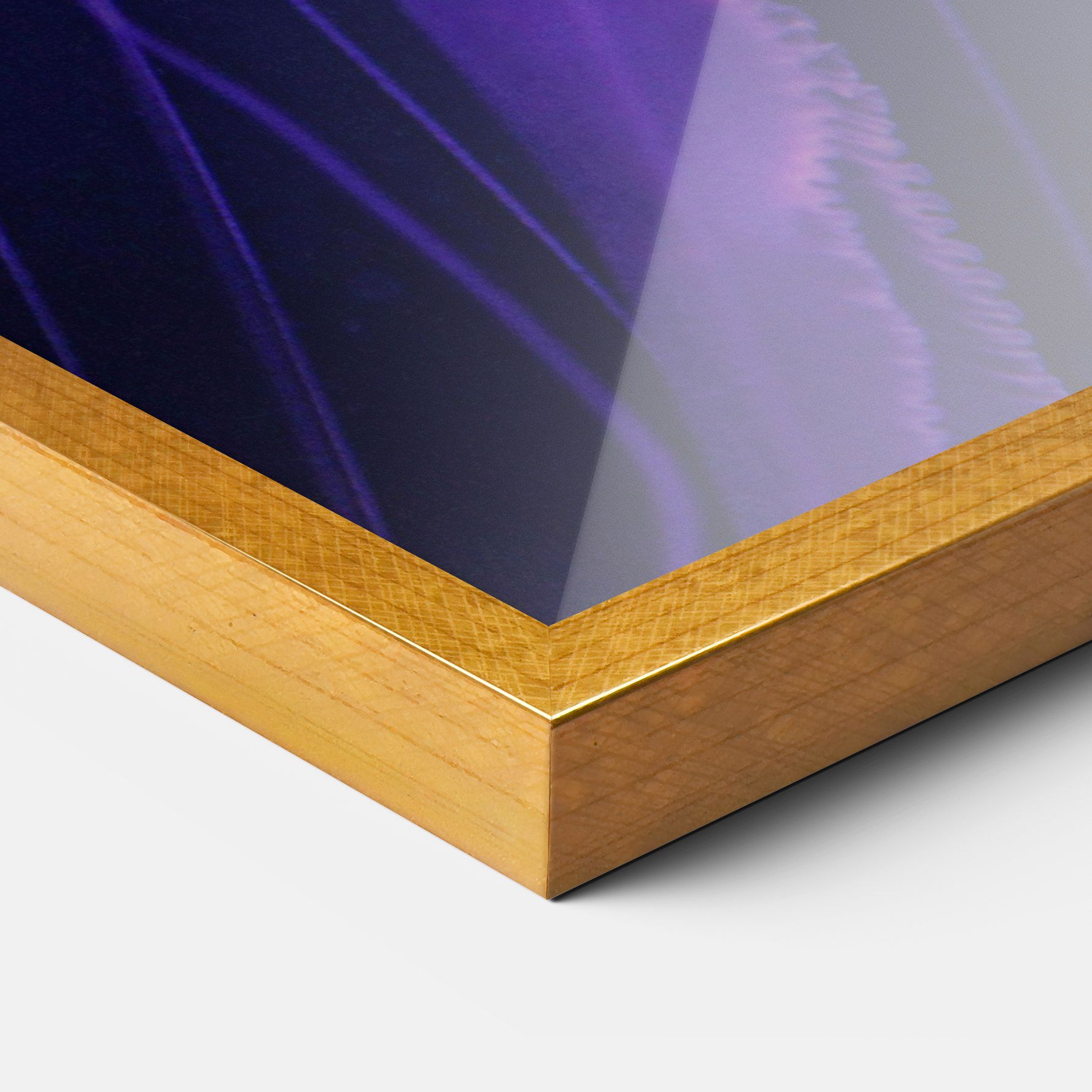 Light Purple Jellyfish mockup 3