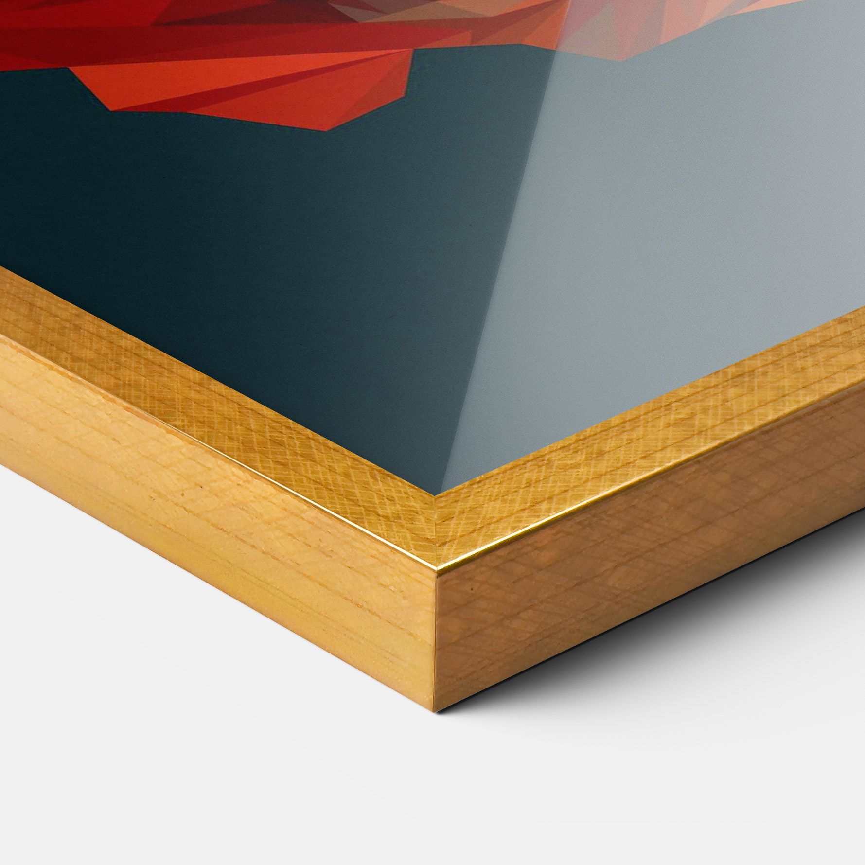 Orange Fish mockup 3