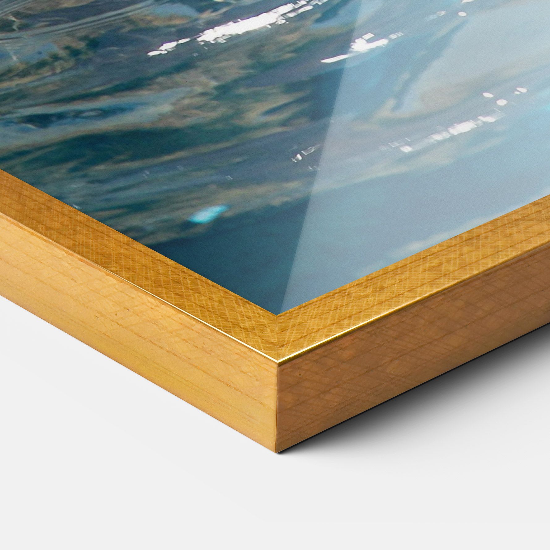 Trained Dolphin mockup 3