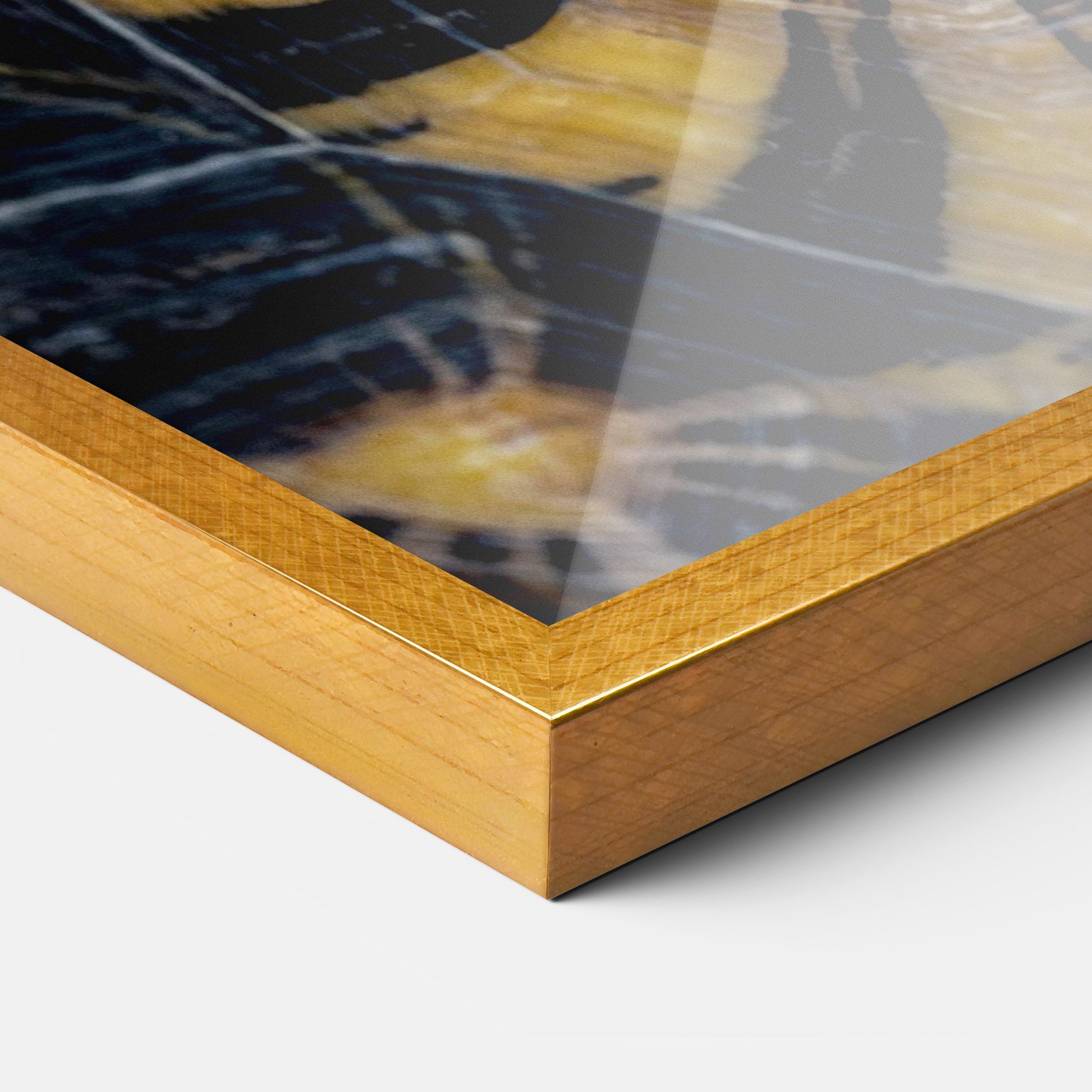 Turtle Shell mockup 3