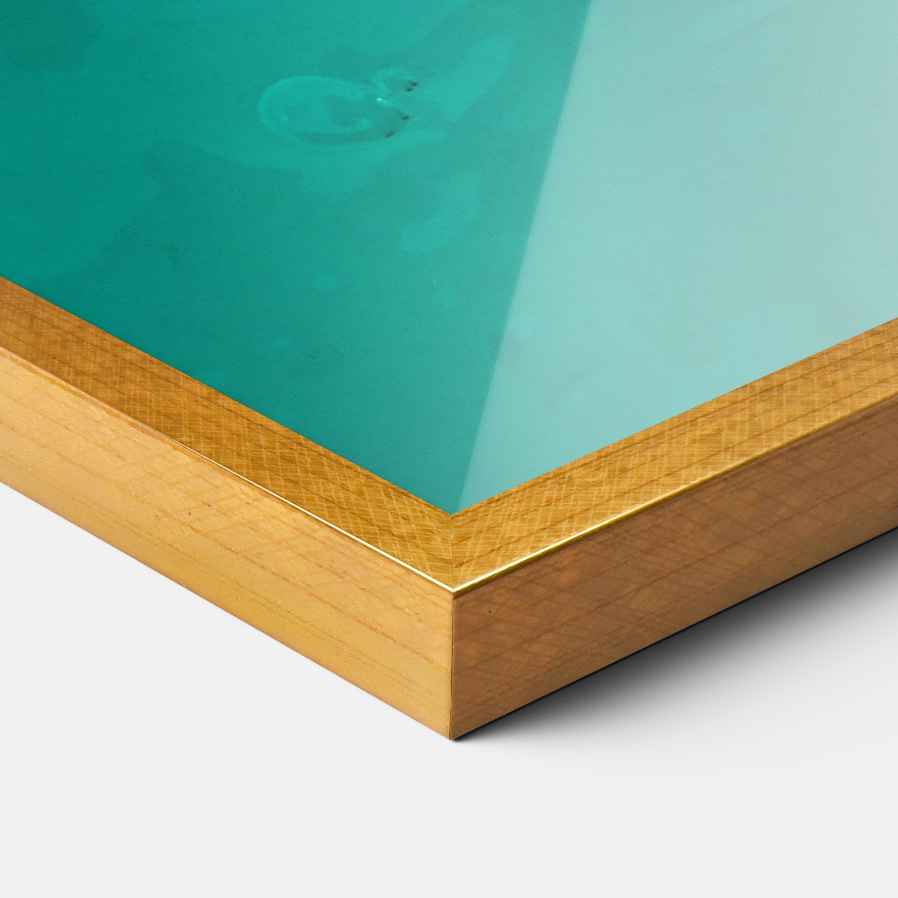 Turtle Sweeming mockup 3