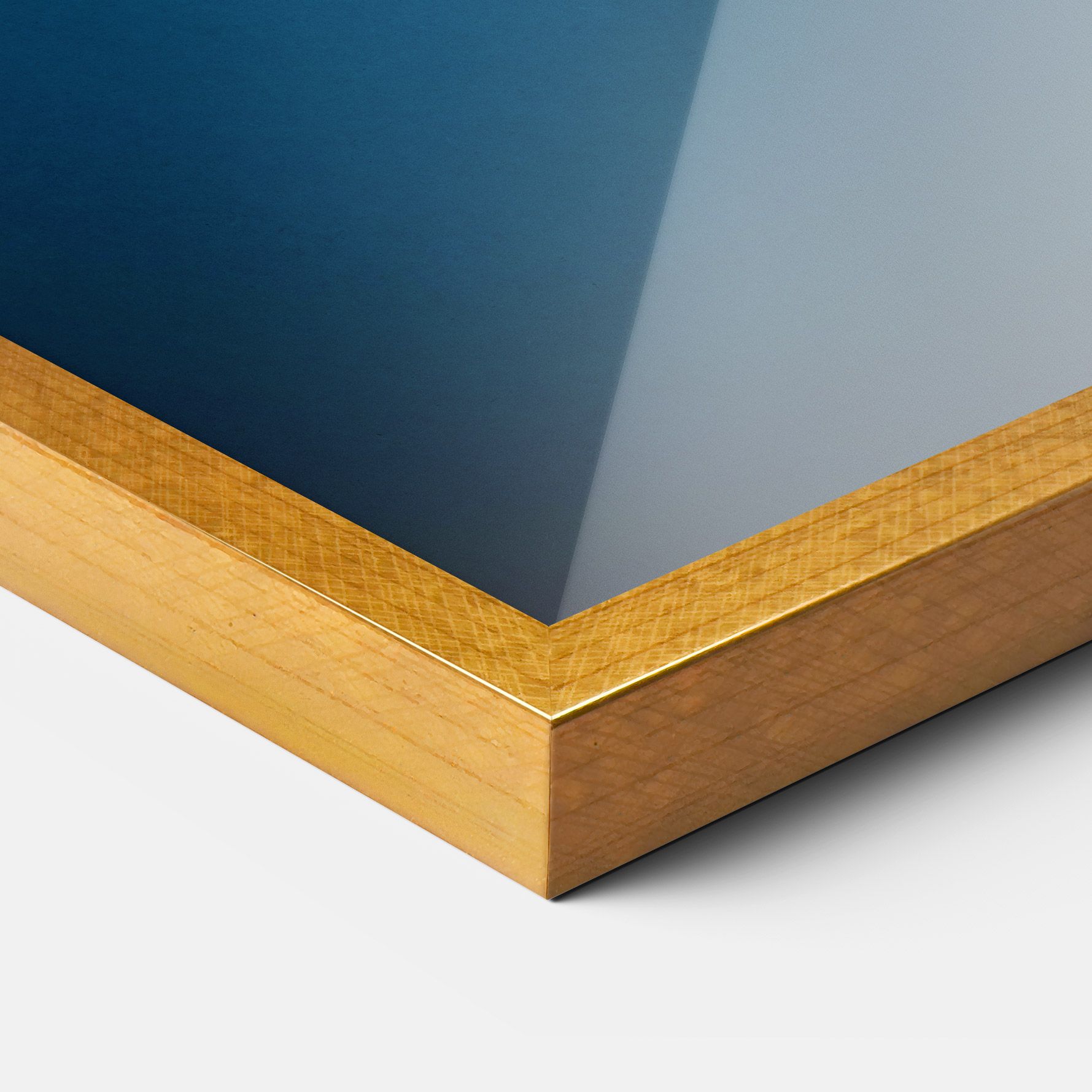 Water Turtle mockup 3