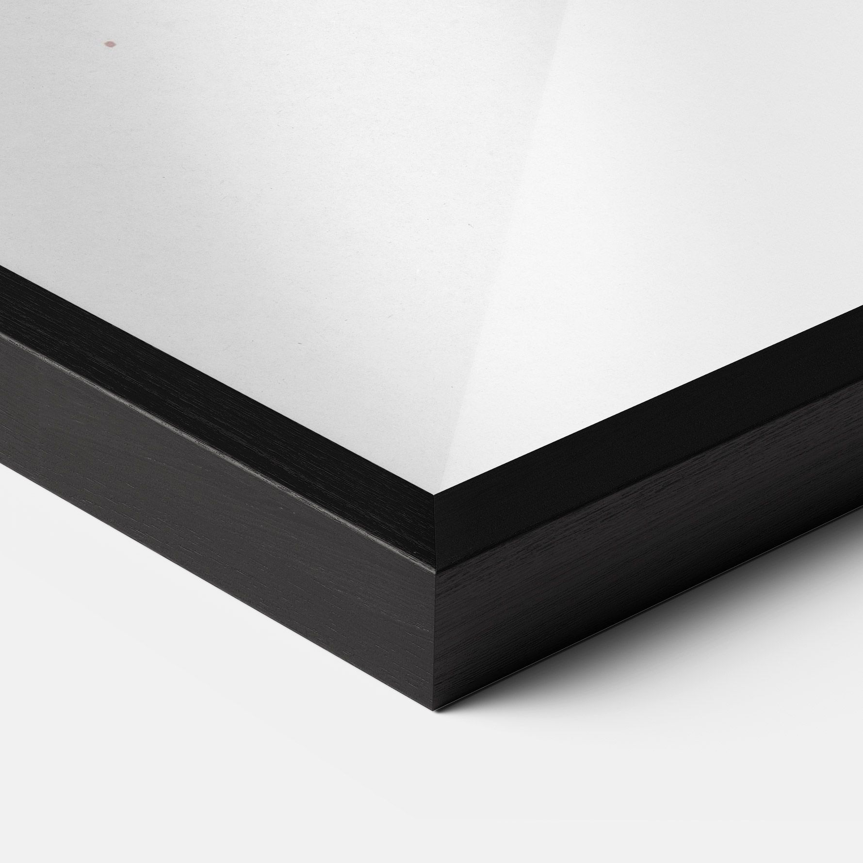 Blue Orange Fish mockup 3