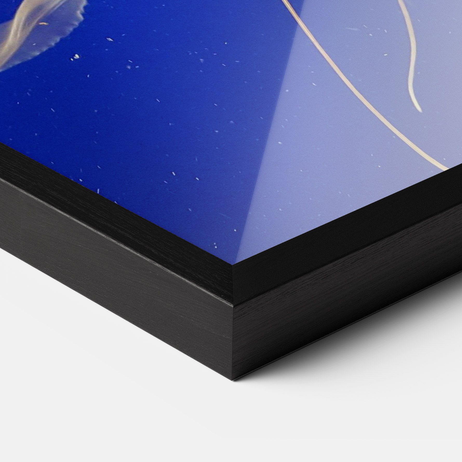 Light Orange Jellyfish mockup 3