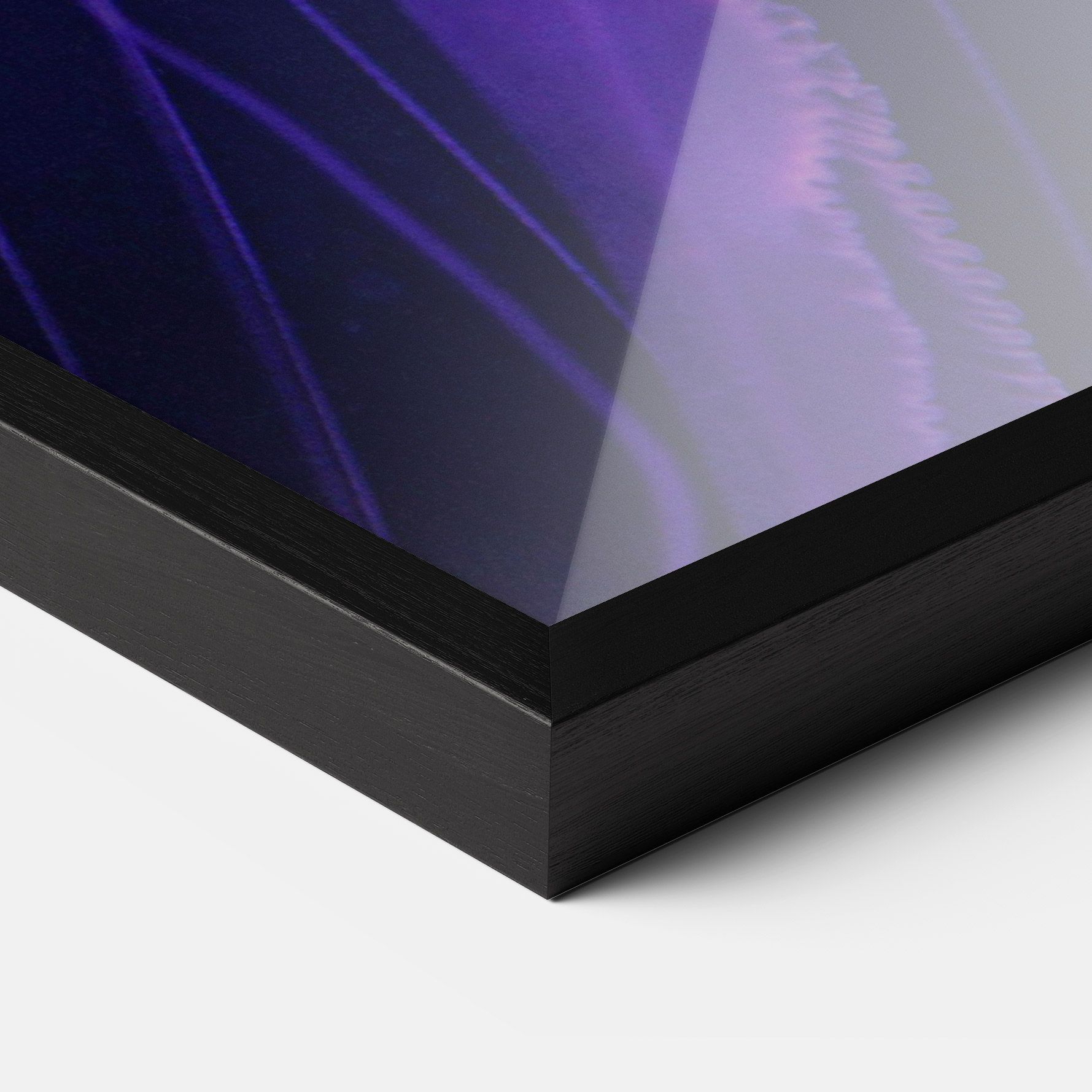 Light Purple Jellyfish mockup 3