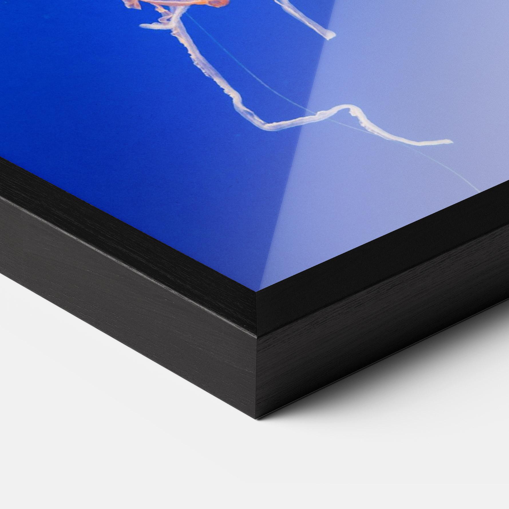 Poster Înrămat Pretty White Jellyfish mockup 3