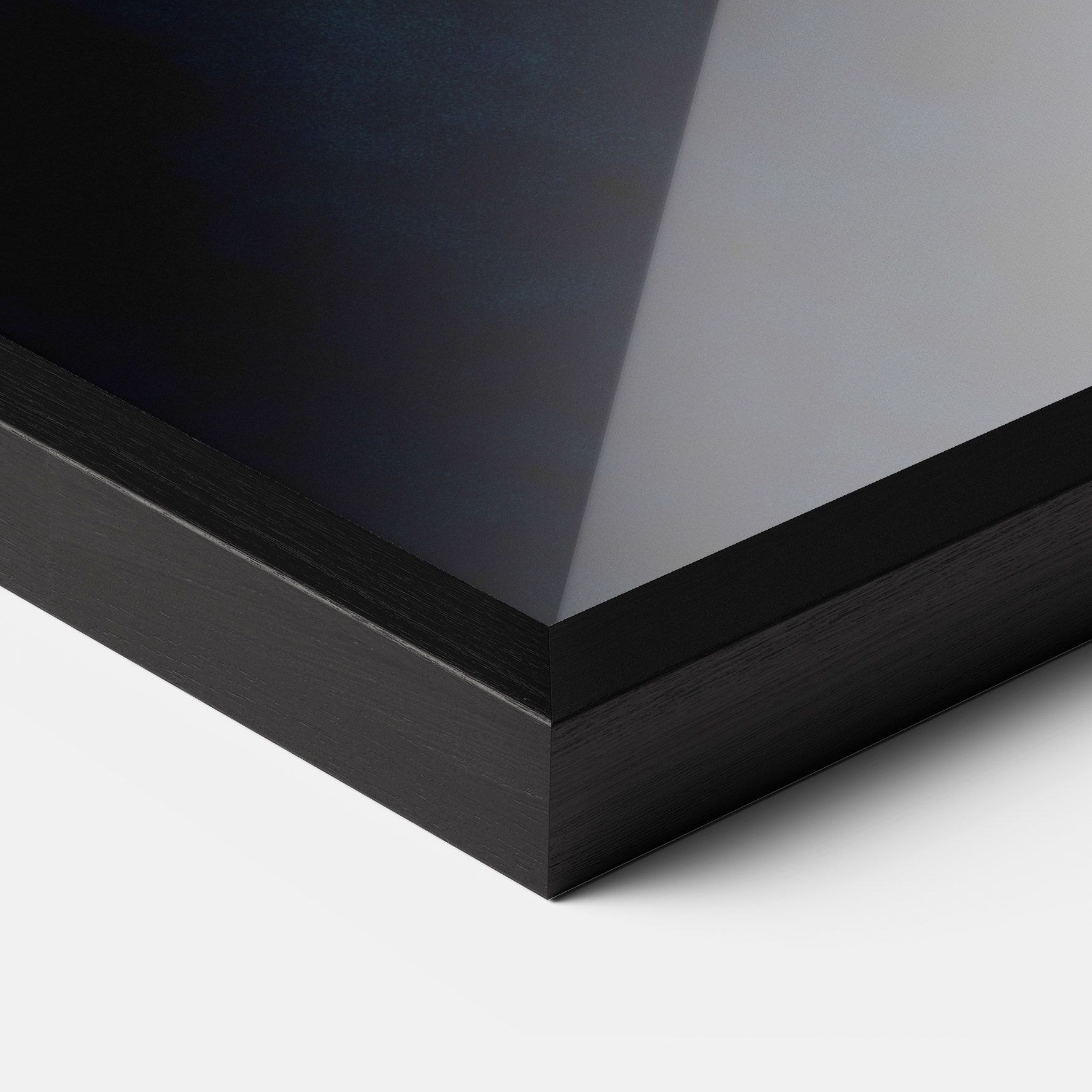 Silver Fish mockup 3