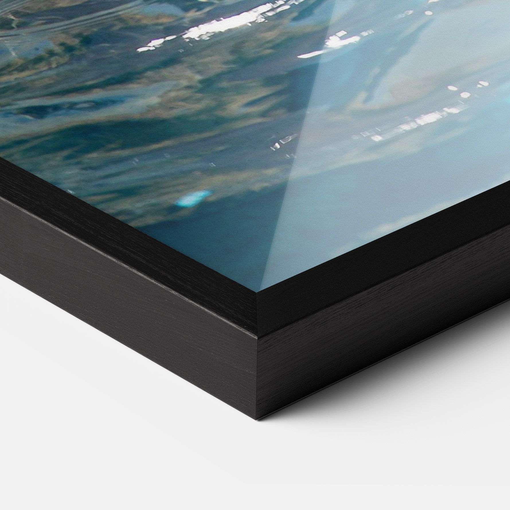 Trained Dolphin mockup 3