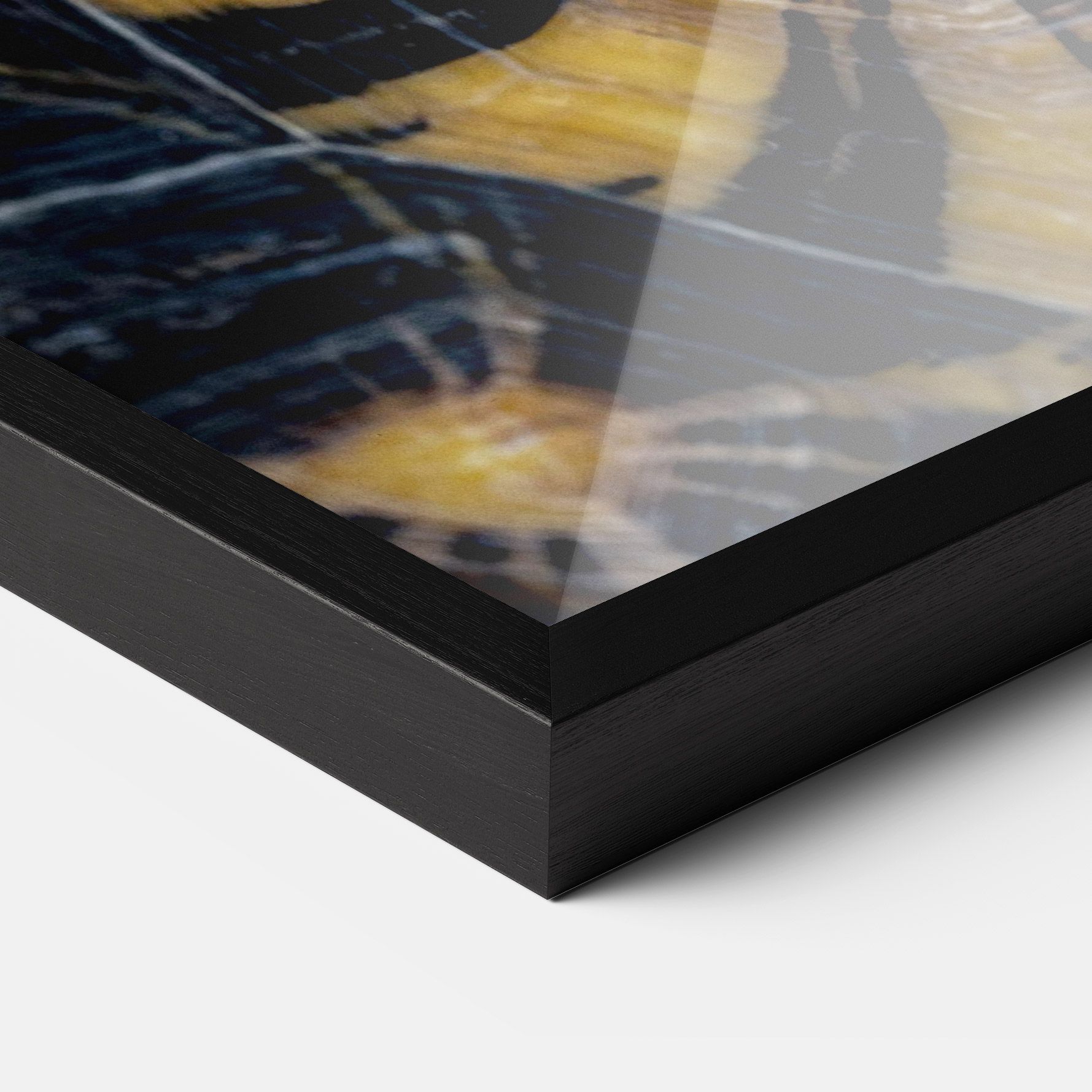 Turtle Shell mockup 3