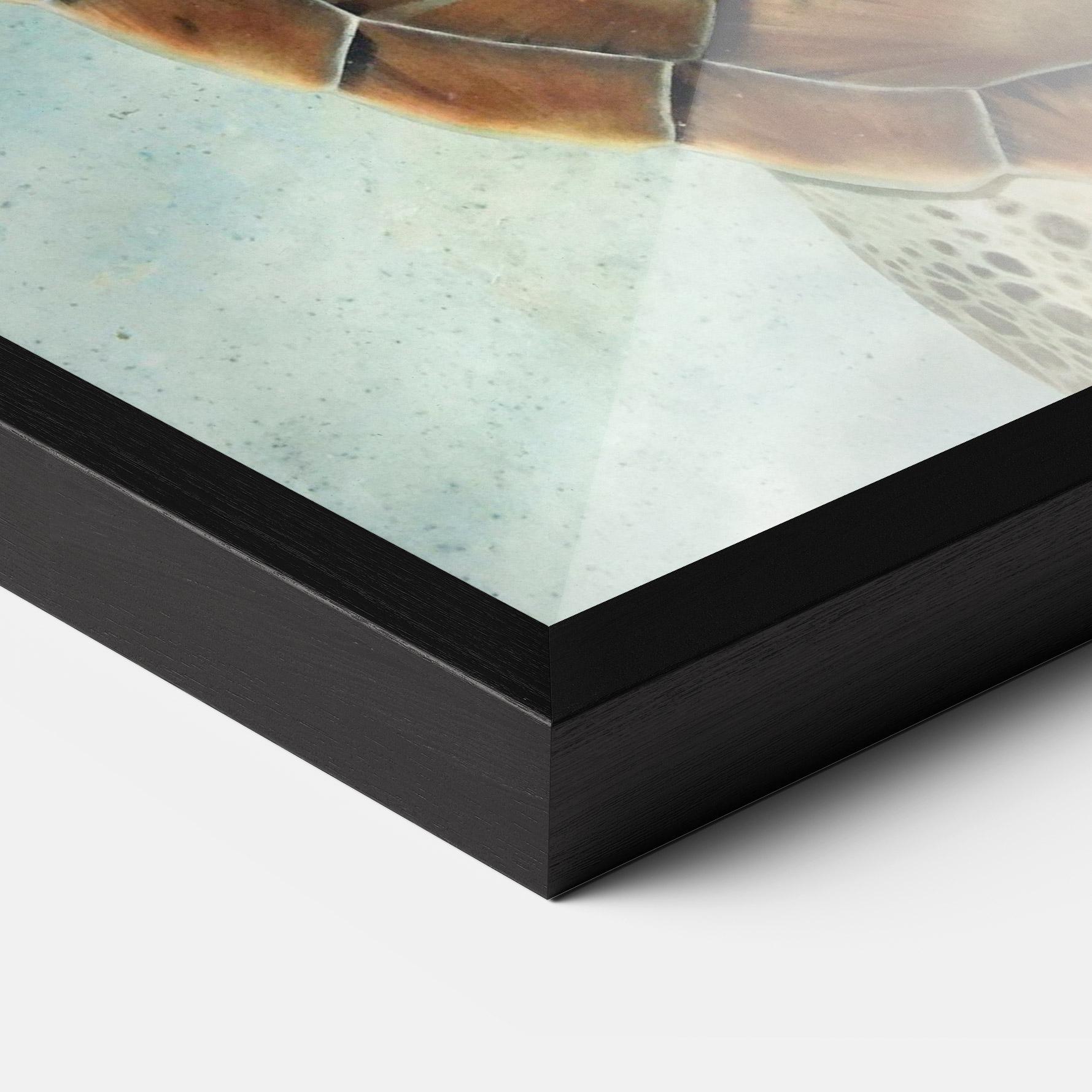 Poster Înrămat Water Tortoise mockup 3