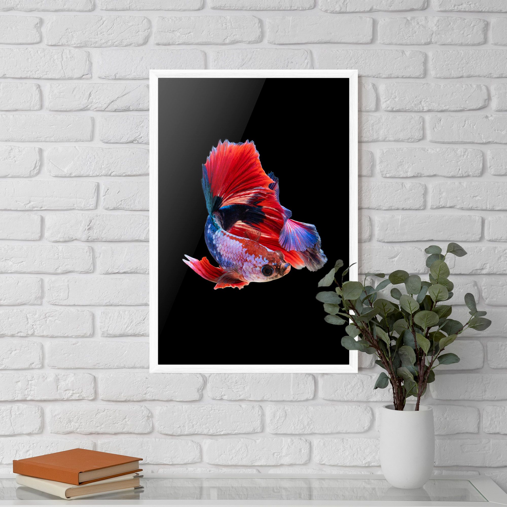Red Black Betta mockup 5