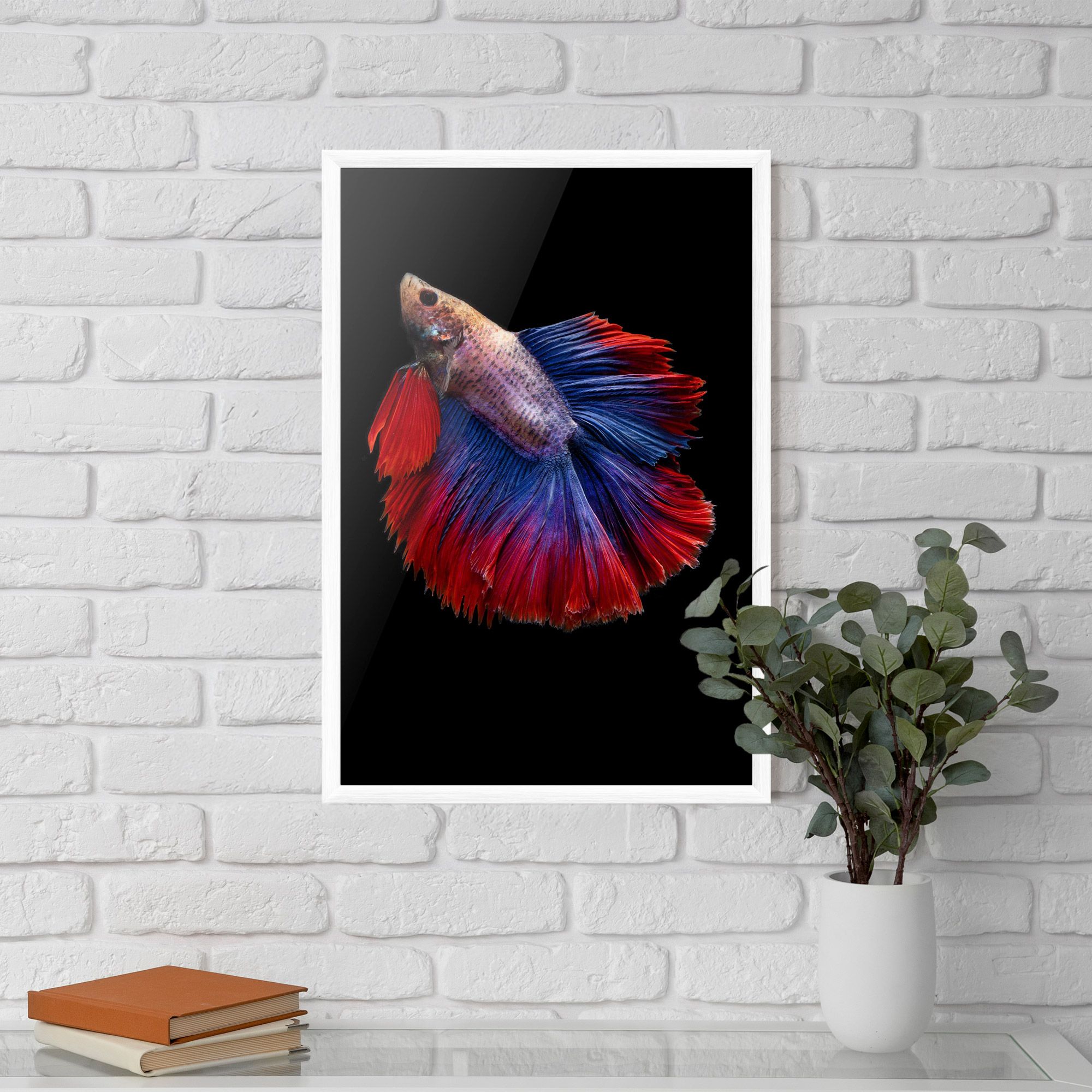Red Blue Betta mockup 5