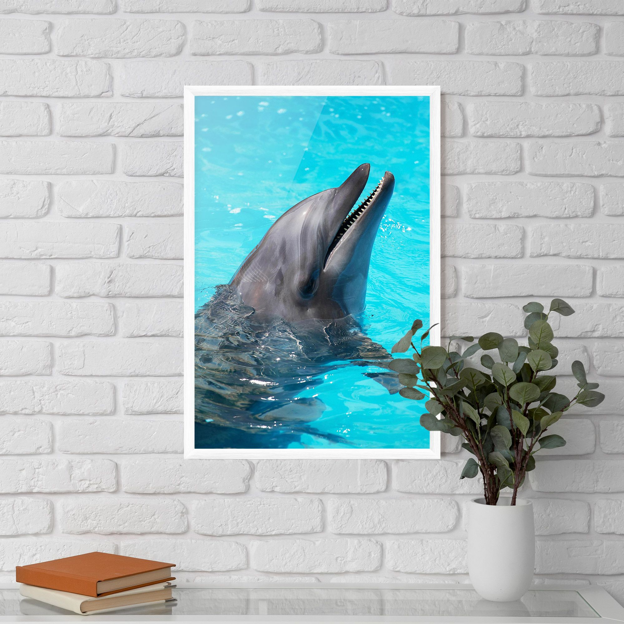 Trained Dolphin mockup 5