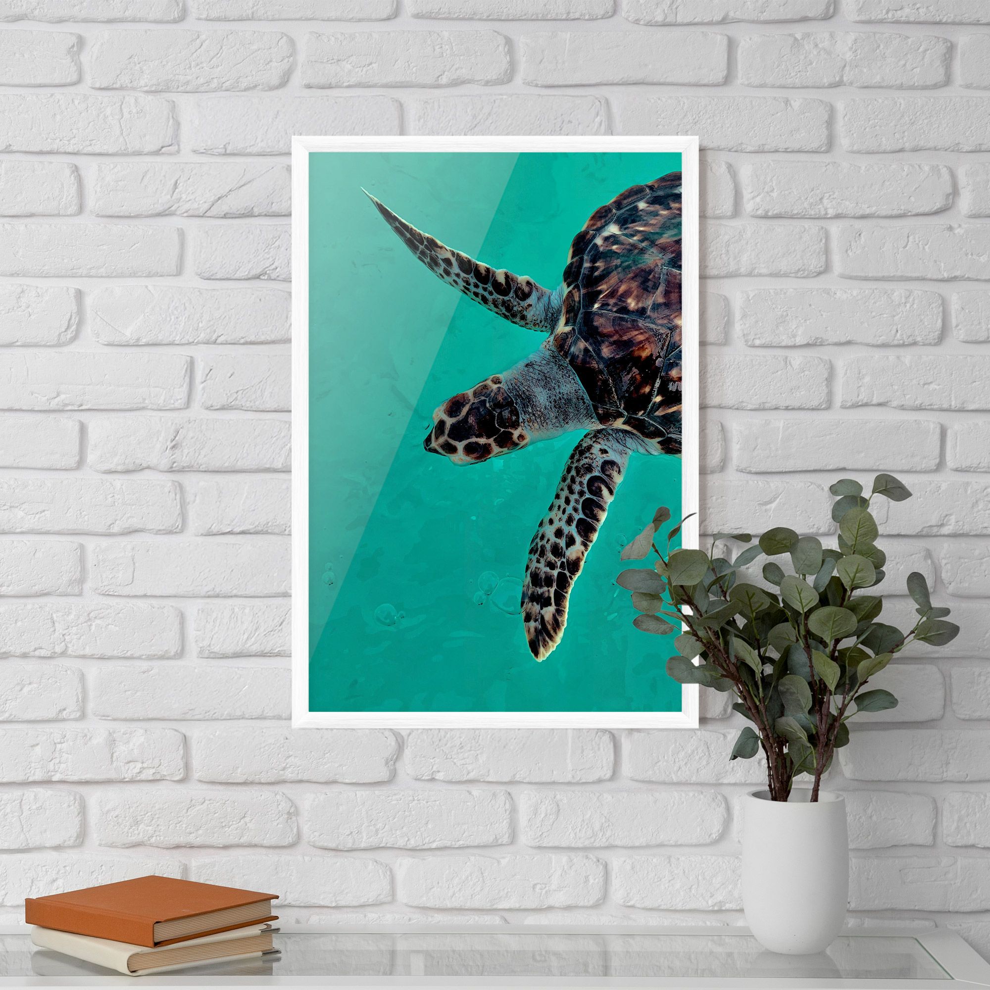 Turtle Sweeming mockup 5