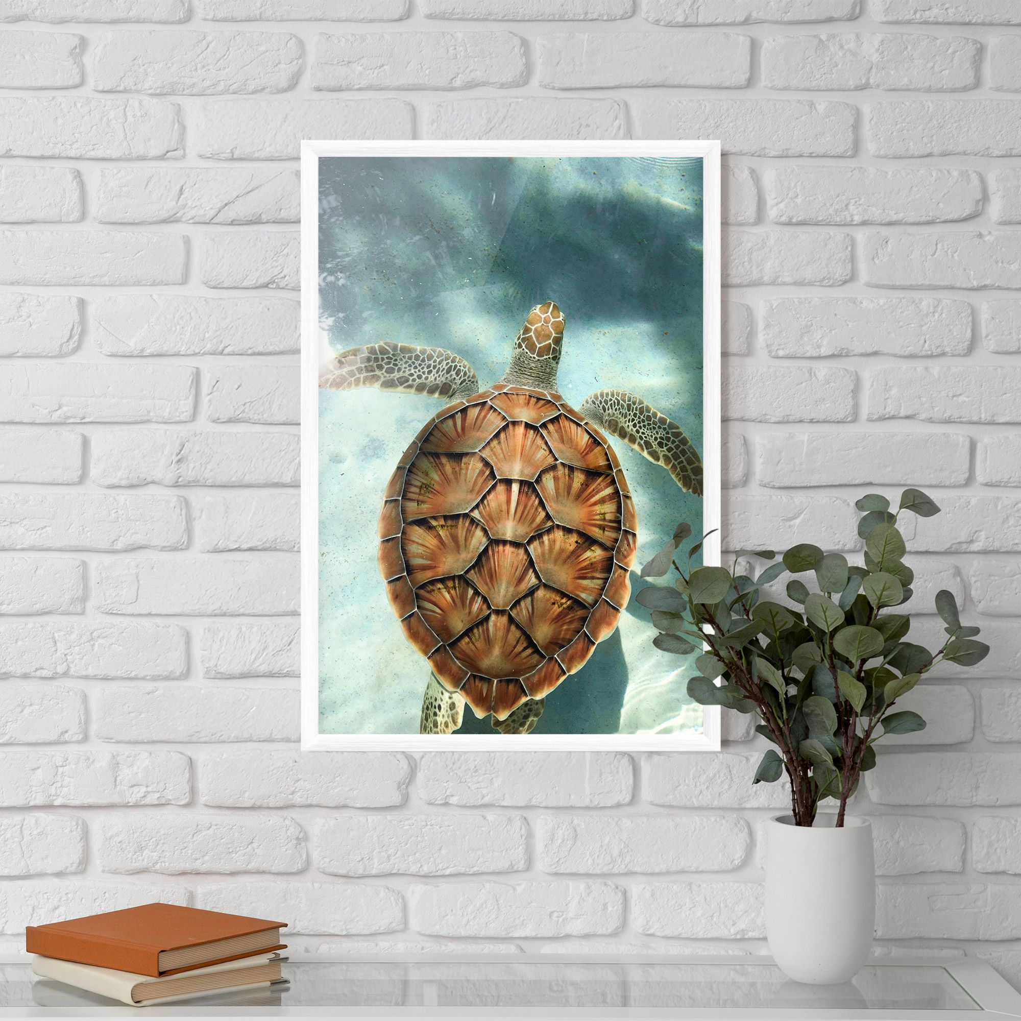 Water Tortoise mockup 5