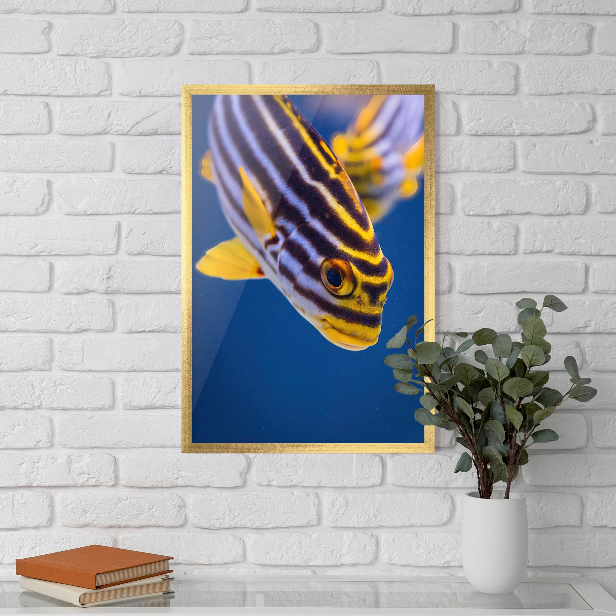 Purple Yellow Fish mockup 5