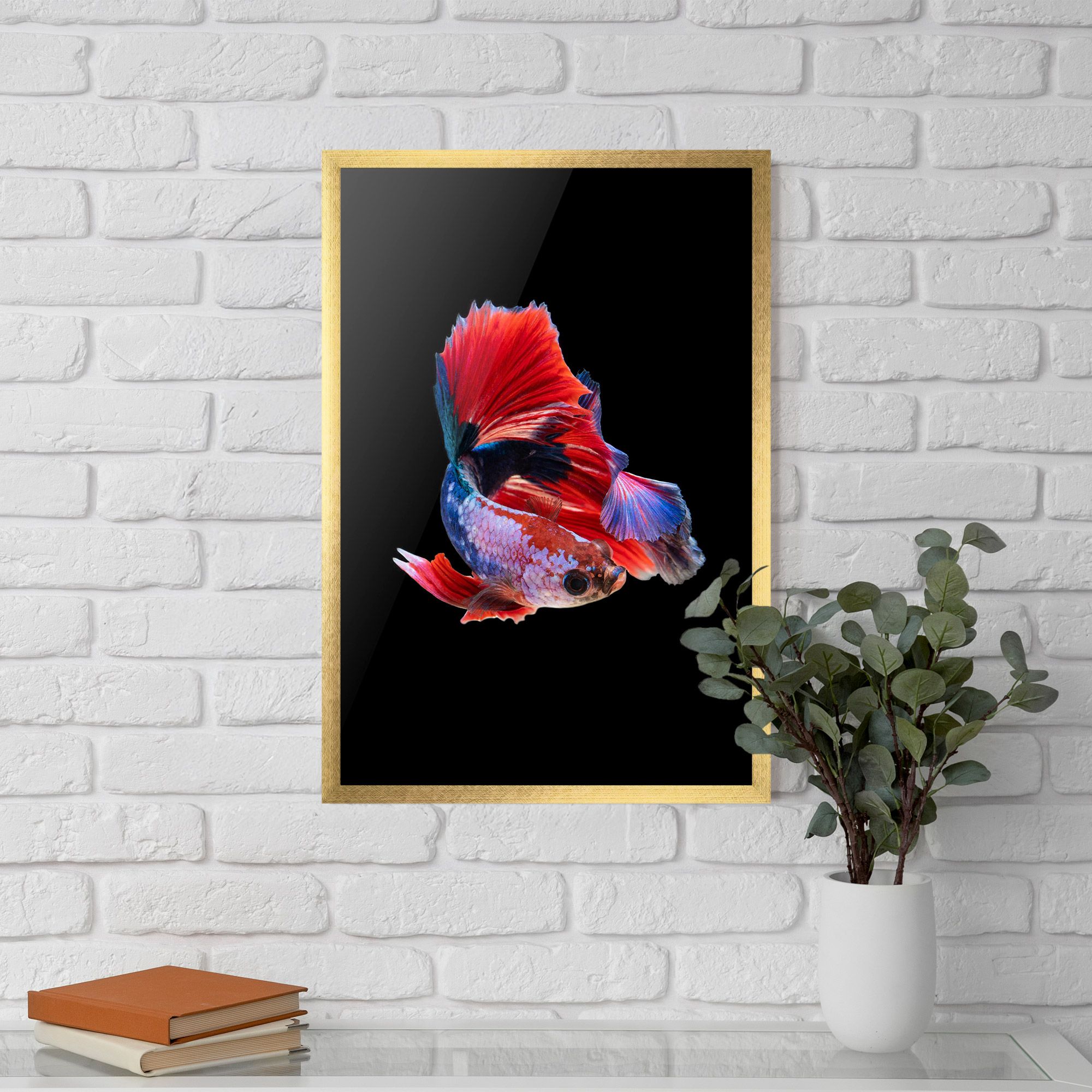 Red Black Betta mockup 5