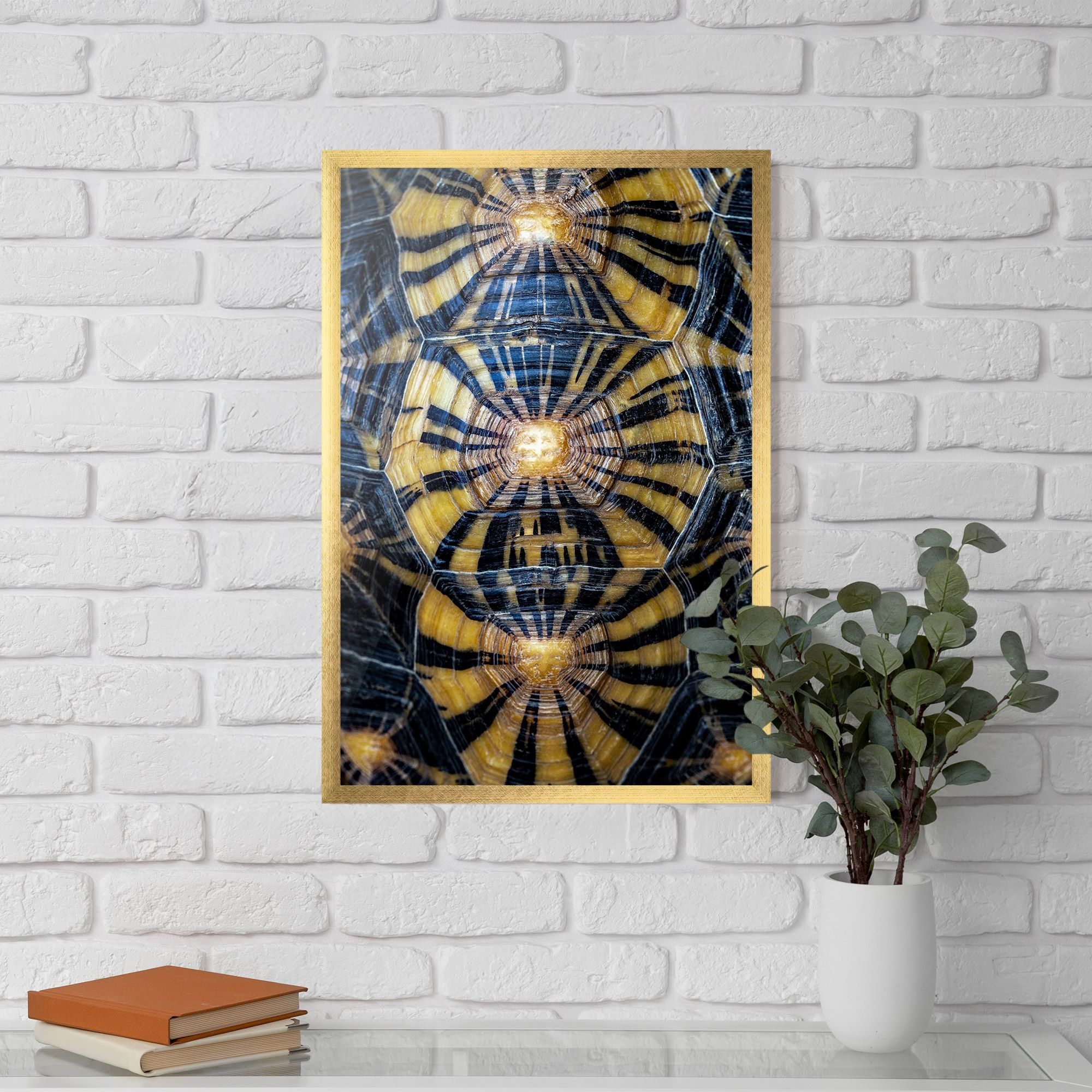 Turtle Shell mockup 5