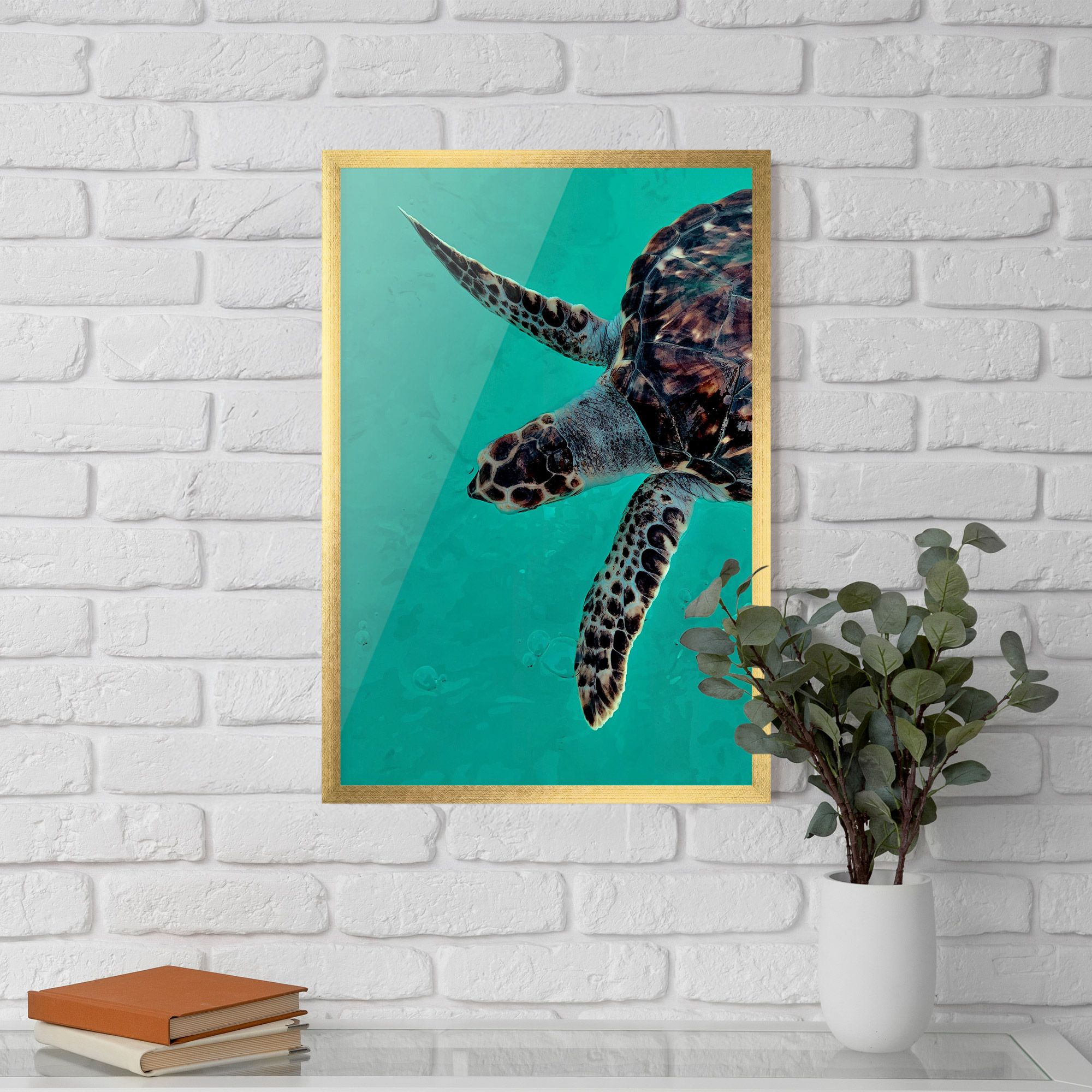 Turtle Sweeming mockup 5