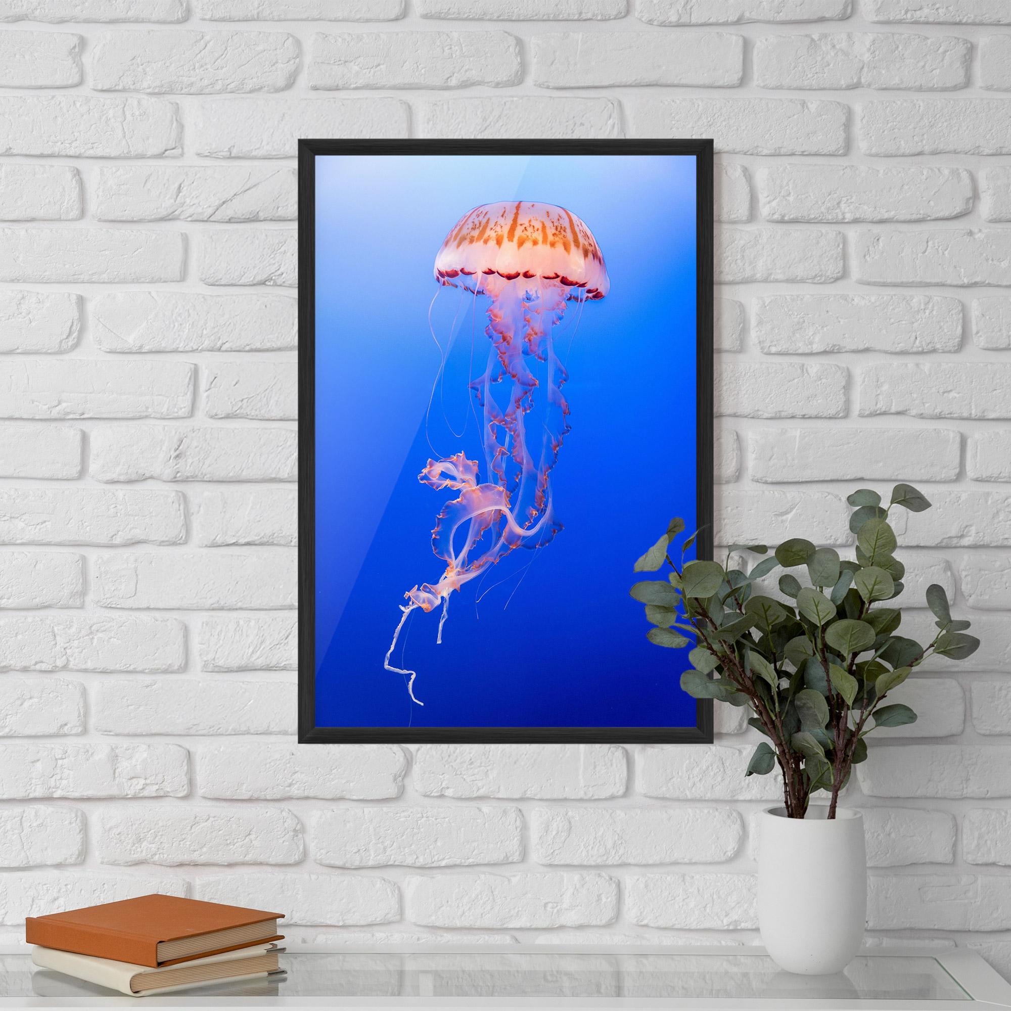 Poster Înrămat Pretty White Jellyfish mockup 5