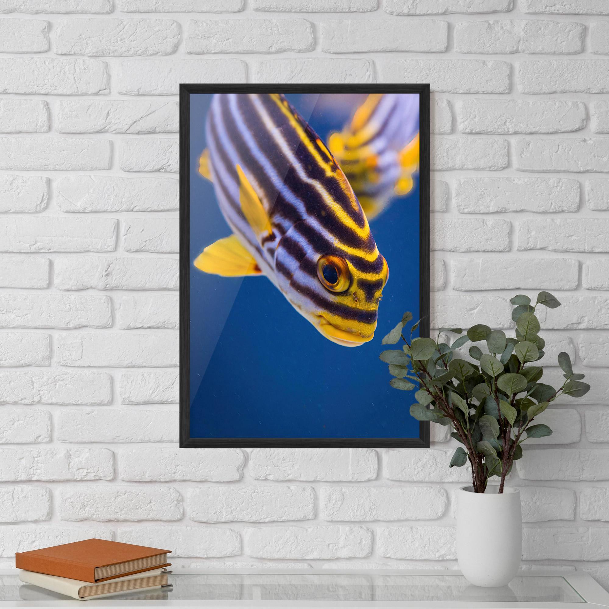 Poster Înrămat Purple Yellow Fish mockup 5