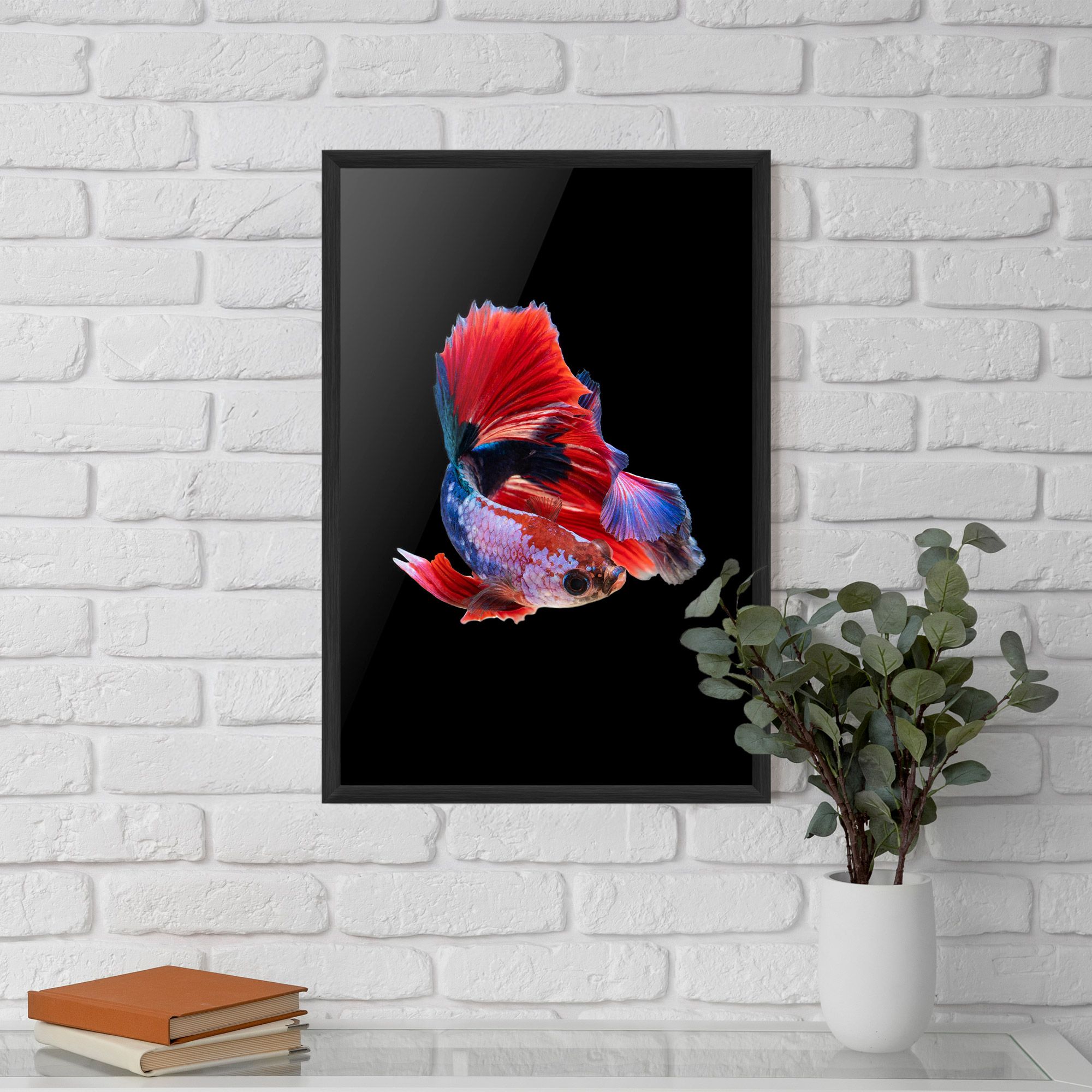 Red Black Betta mockup 5