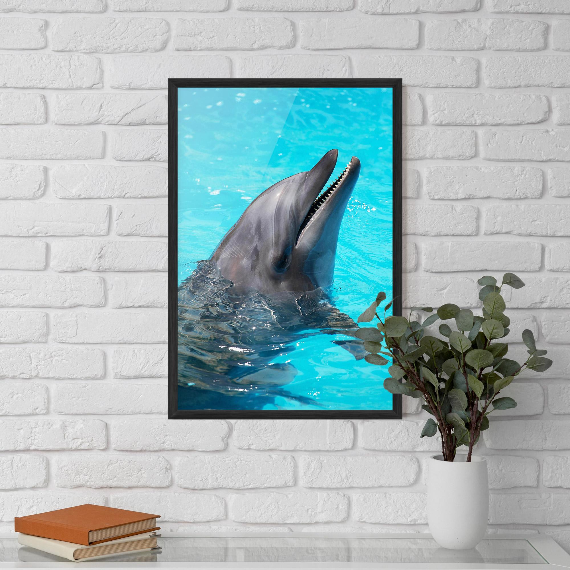 Poster Înrămat Trained Dolphin mockup 5