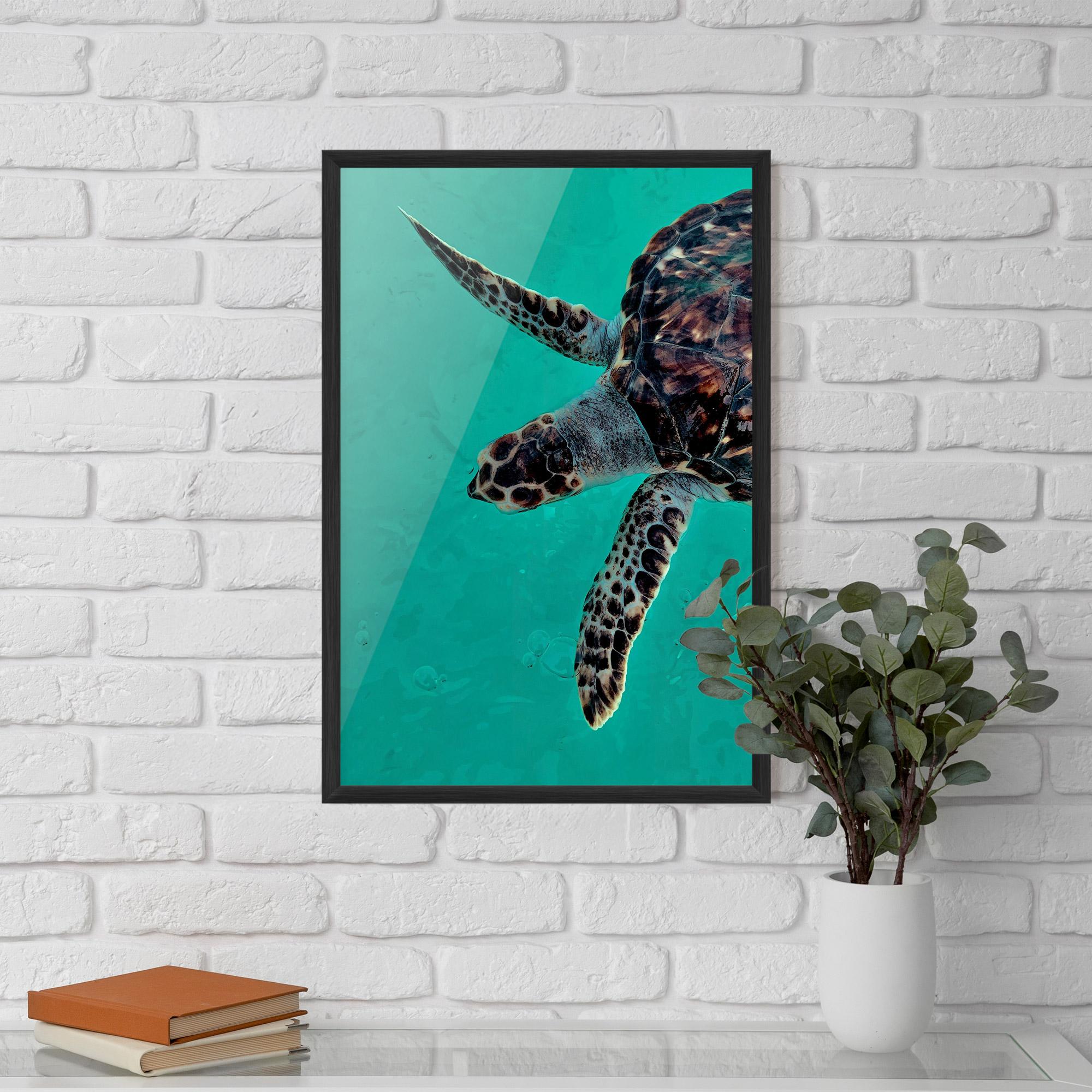 Poster Înrămat Turtle Sweeming mockup 5