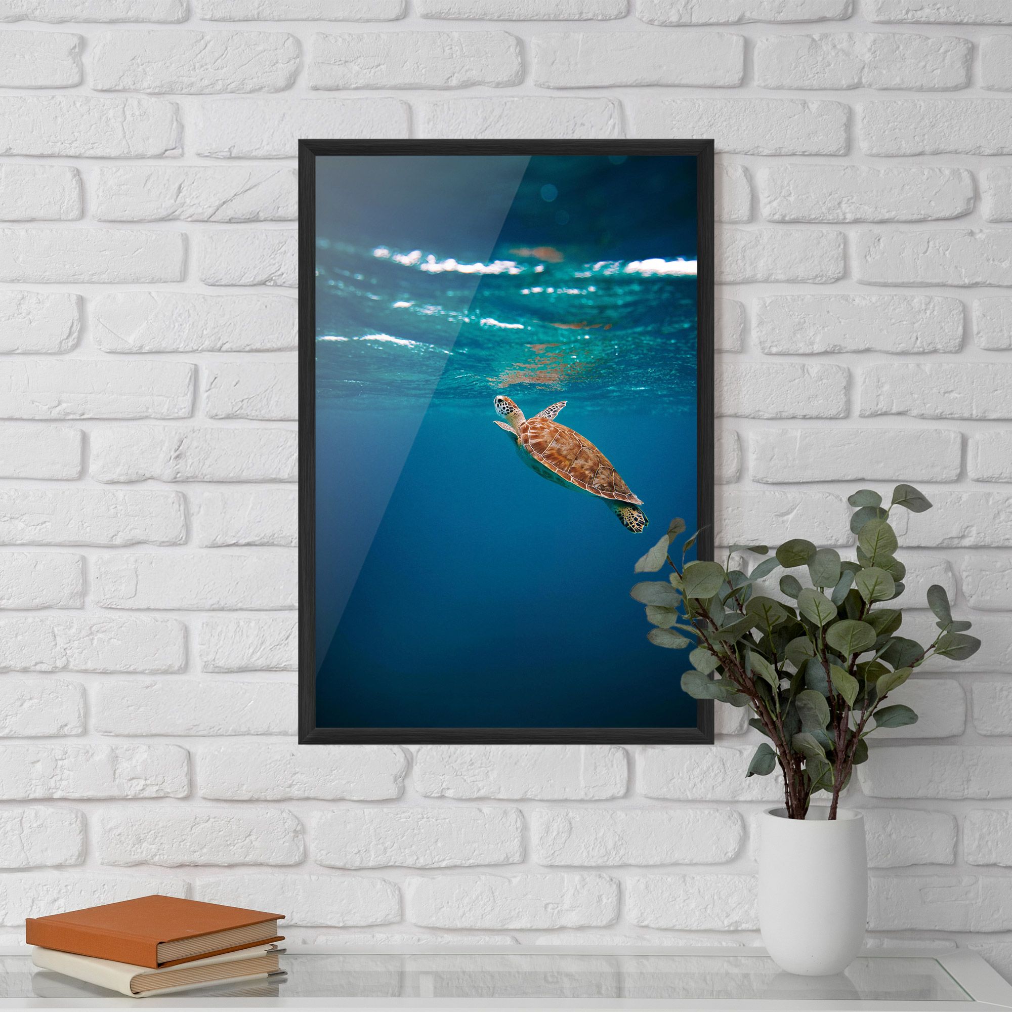Water Turtle mockup 5