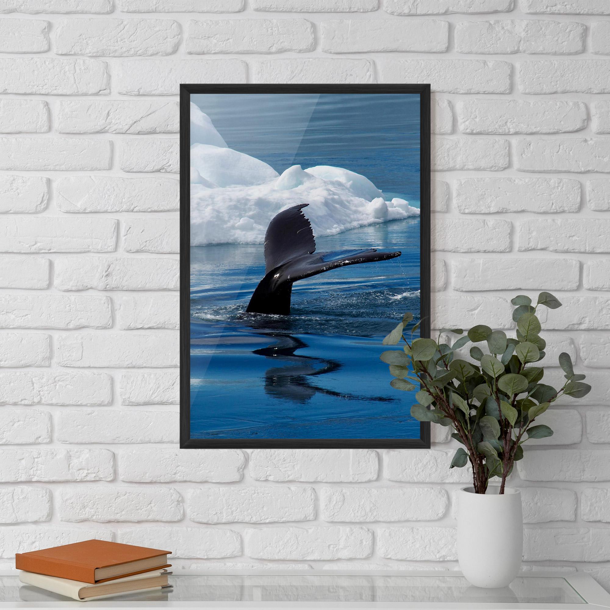 Poster Înrămat Whale Tail mockup 5