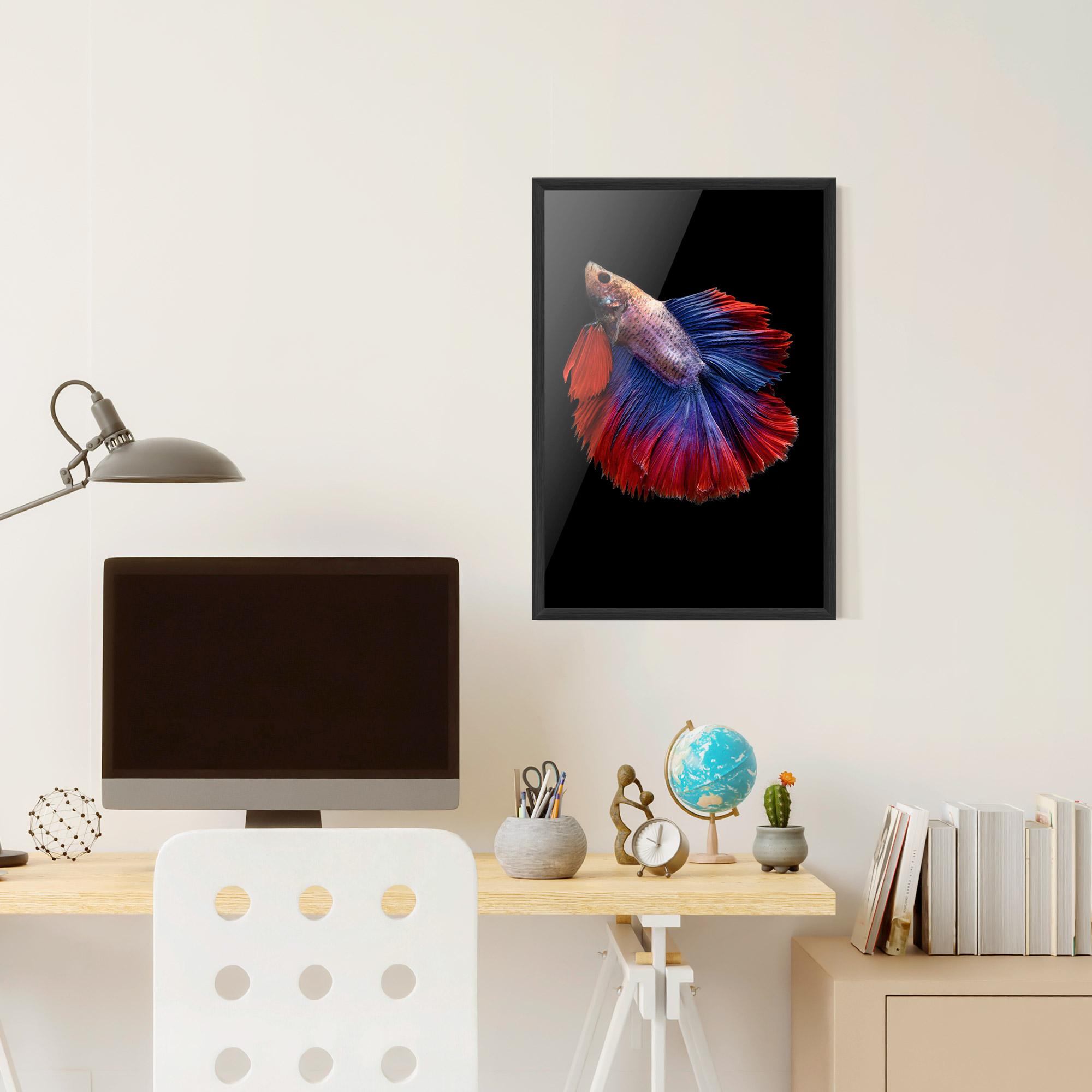 Poster Înrămat Red Blue Betta mockup 6