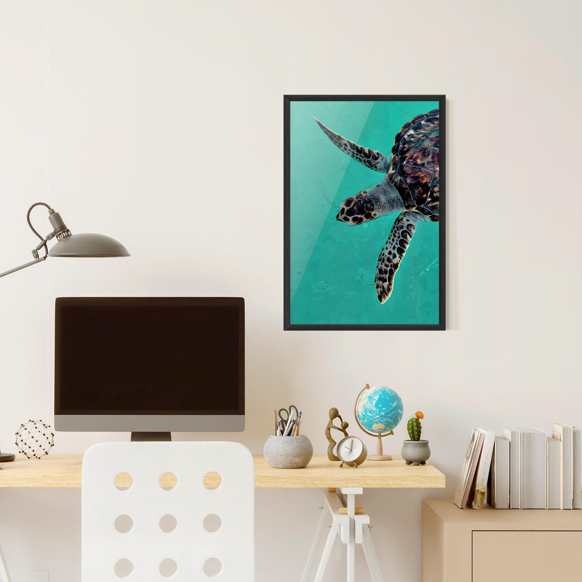 Poster Înrămat Turtle Sweeming mockup 6