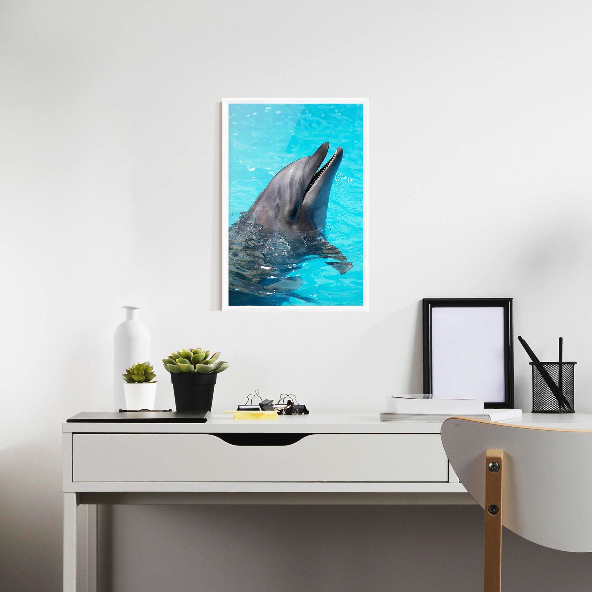 Trained Dolphin mockup 7