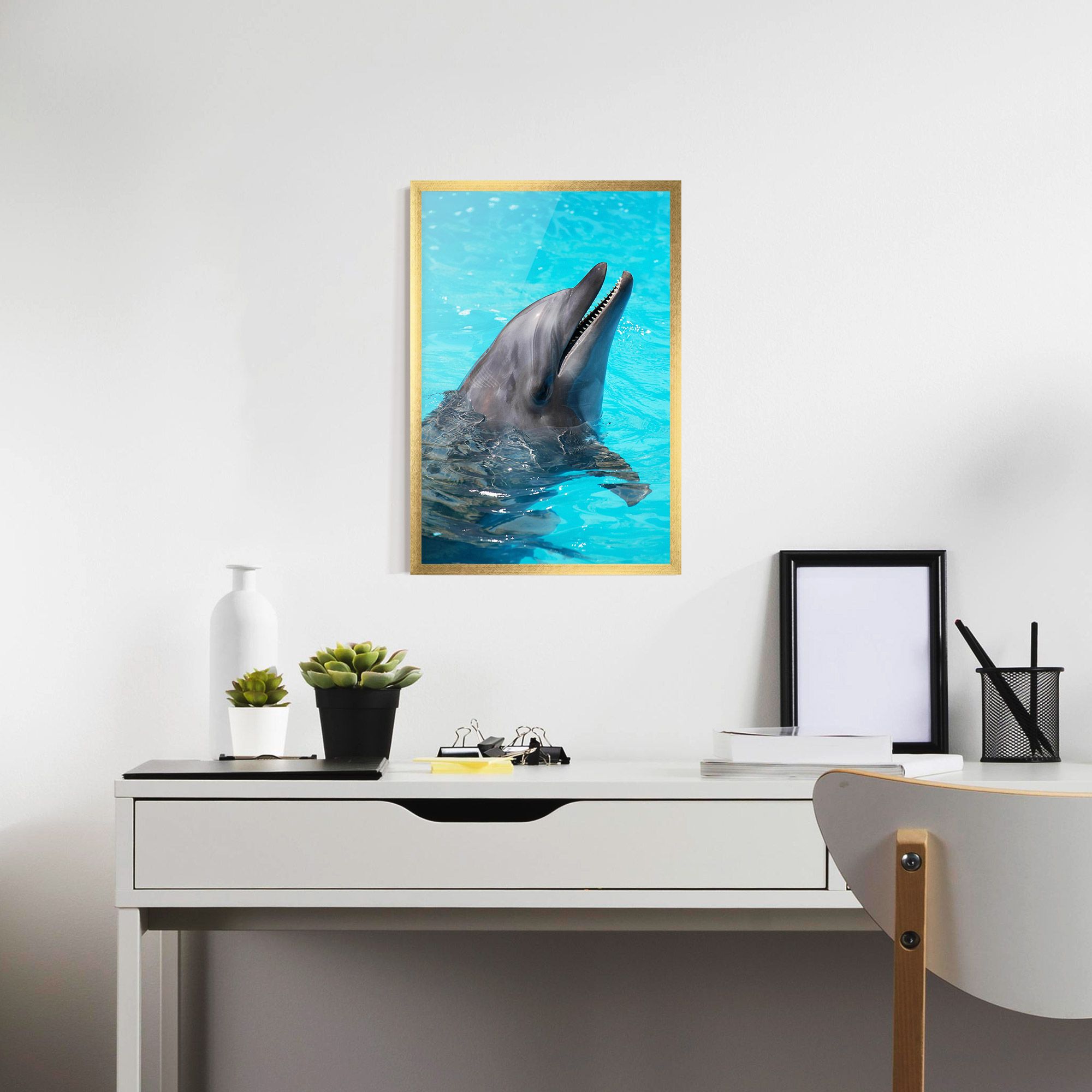 Trained Dolphin mockup 7