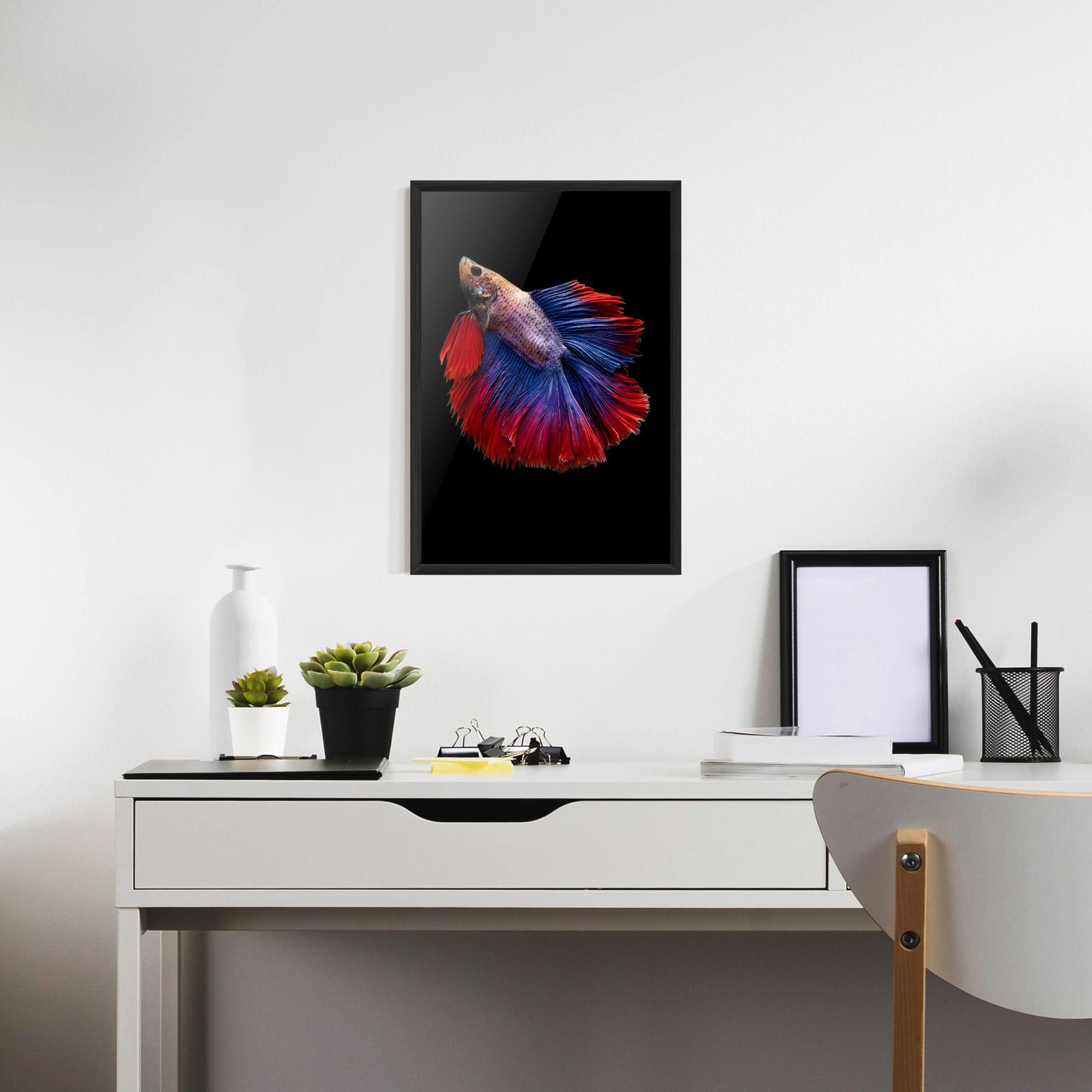 Poster Înrămat Red Blue Betta mockup 7