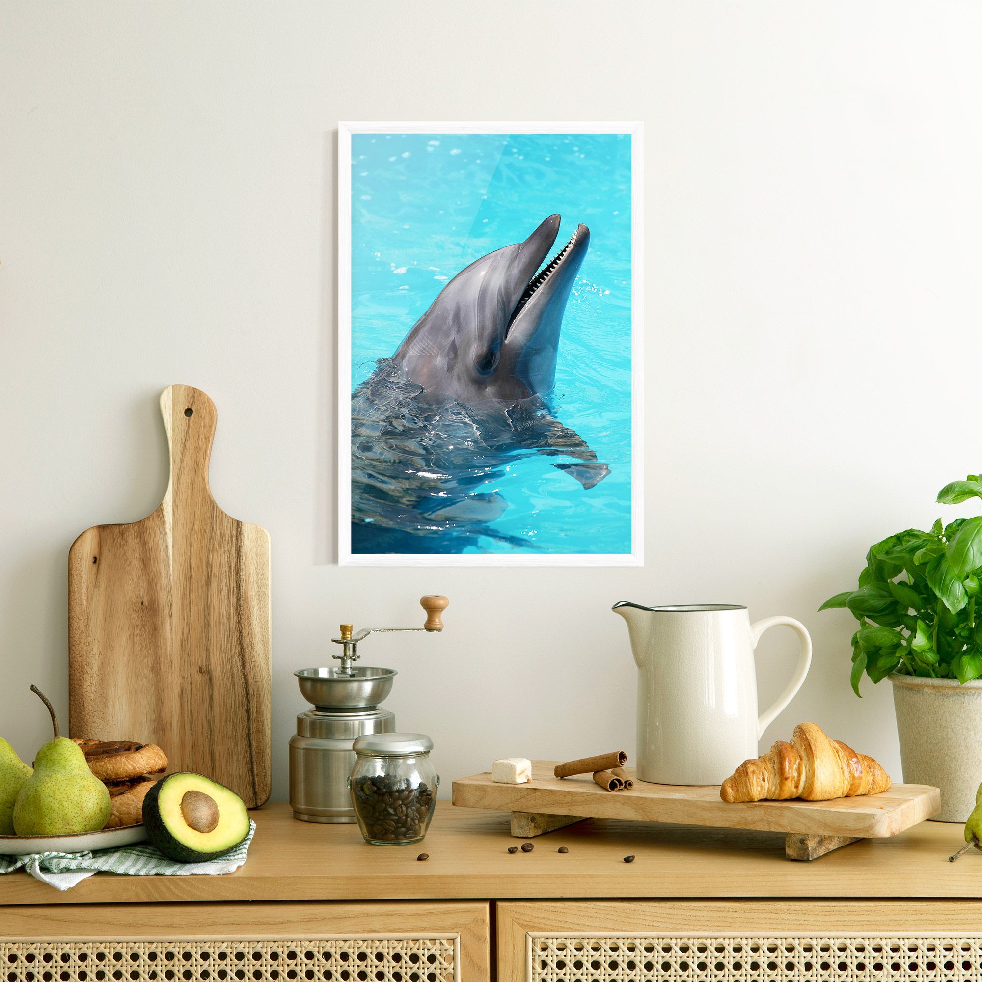 Trained Dolphin mockup 8