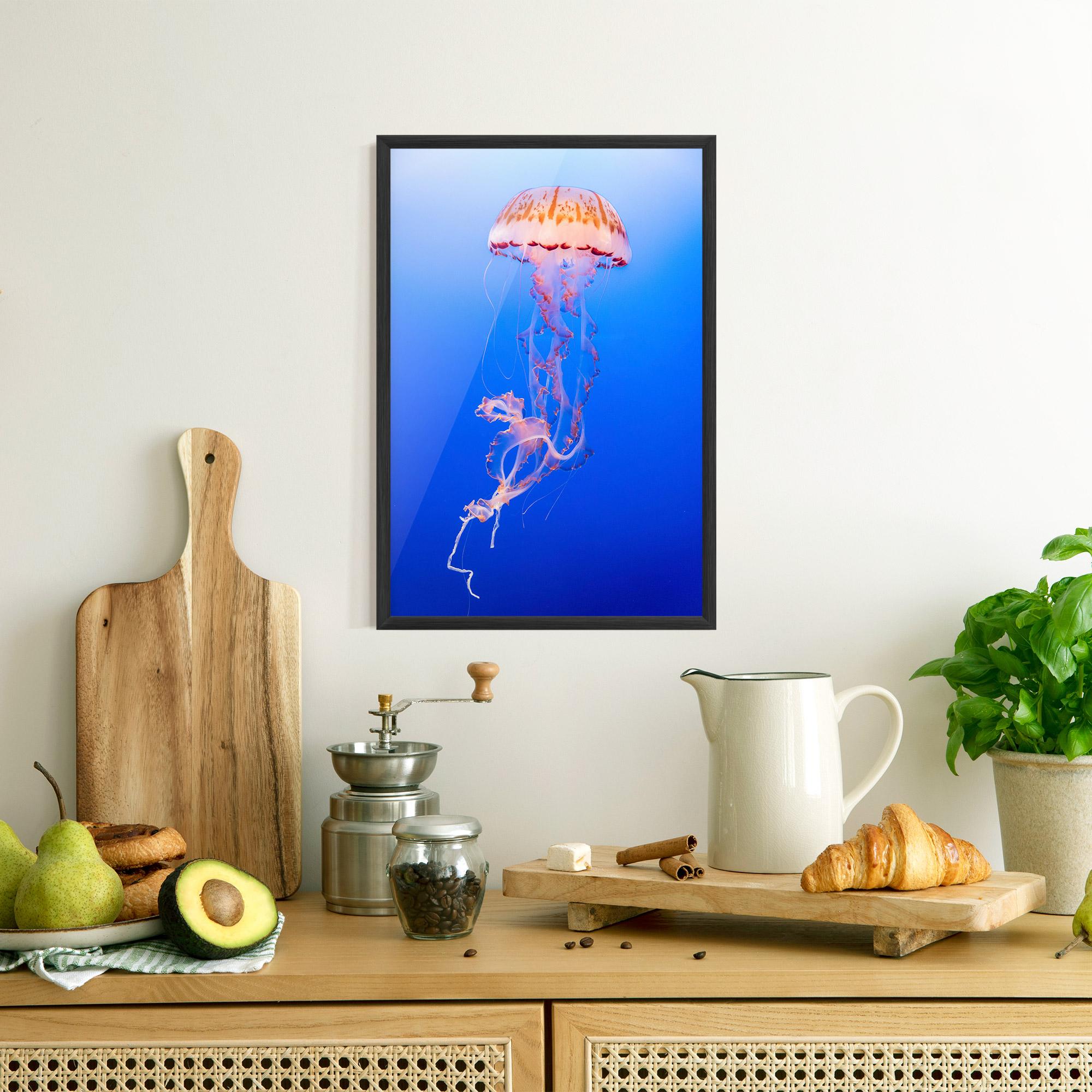 Poster Înrămat Pretty White Jellyfish mockup 8