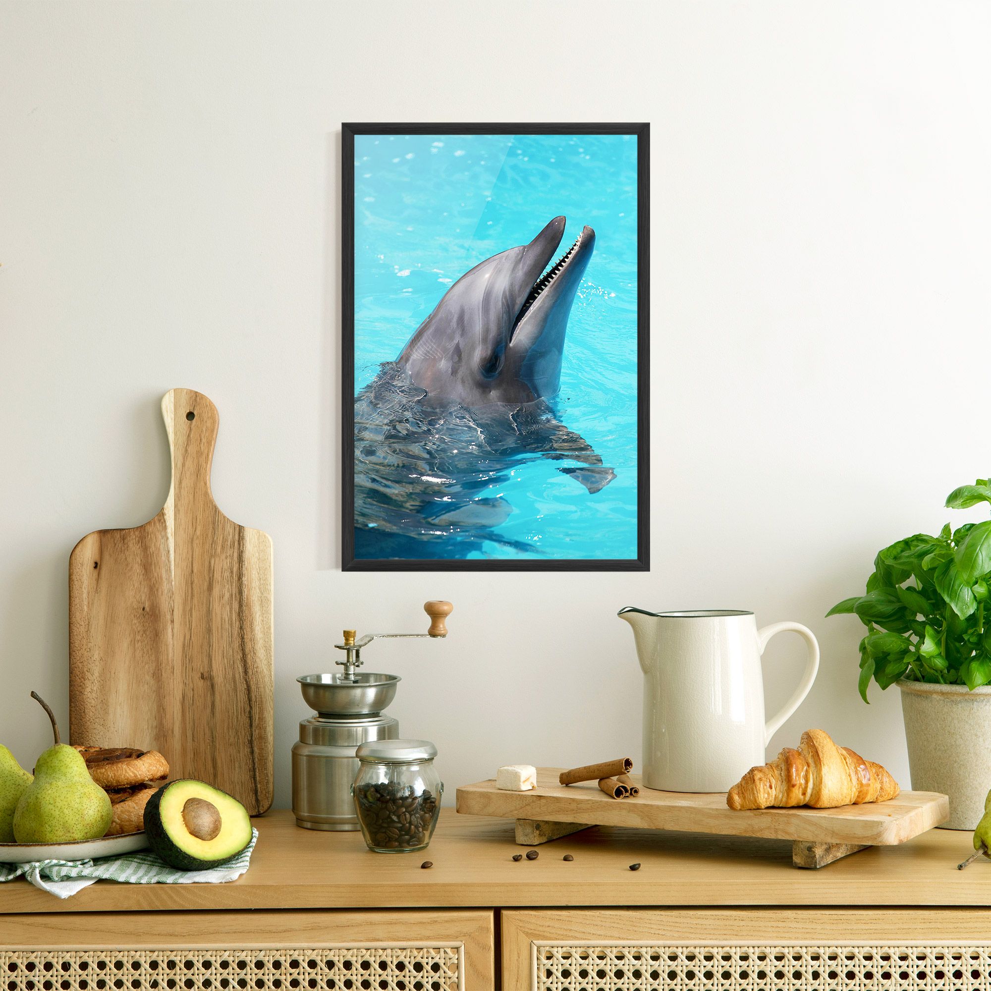 Trained Dolphin mockup 8