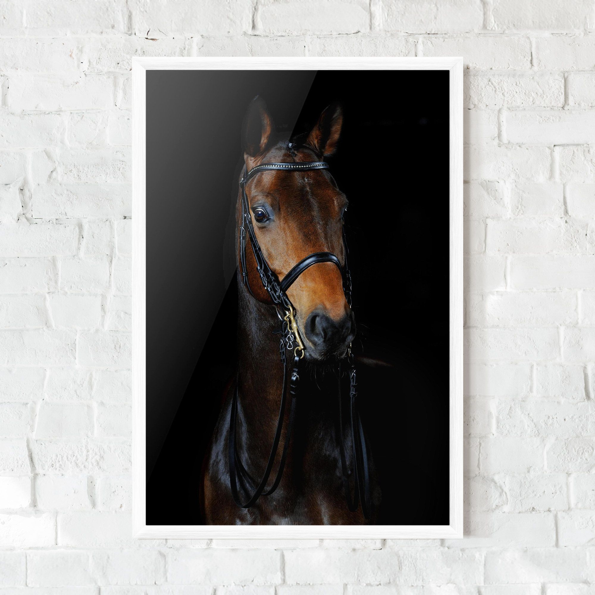 Brown Horse On Black mockup 0