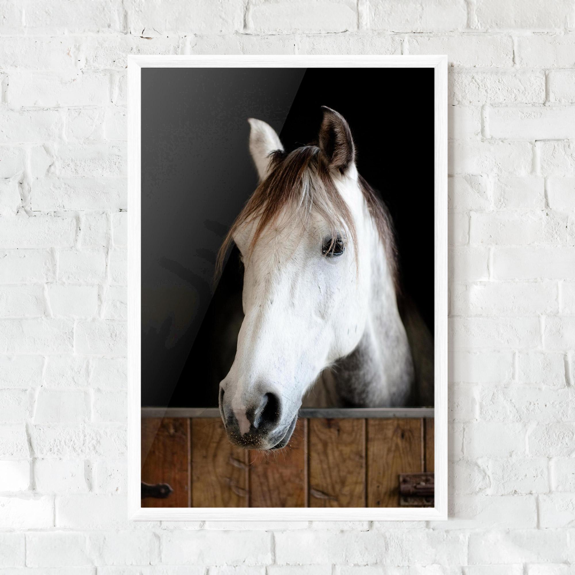 Poster Înrămat Grey Horse Head mockup 0