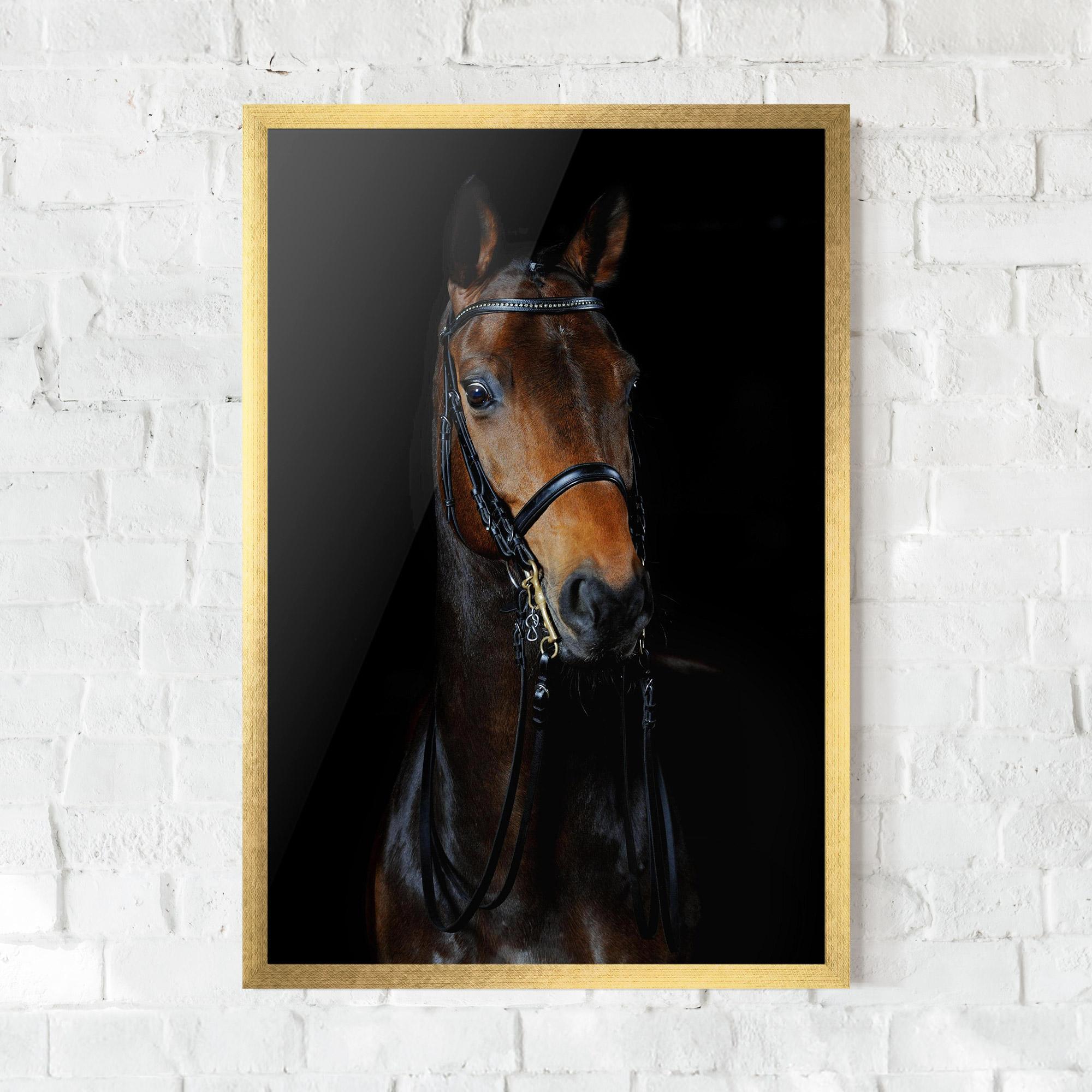 Poster Înrămat Brown Horse On Black mockup 0